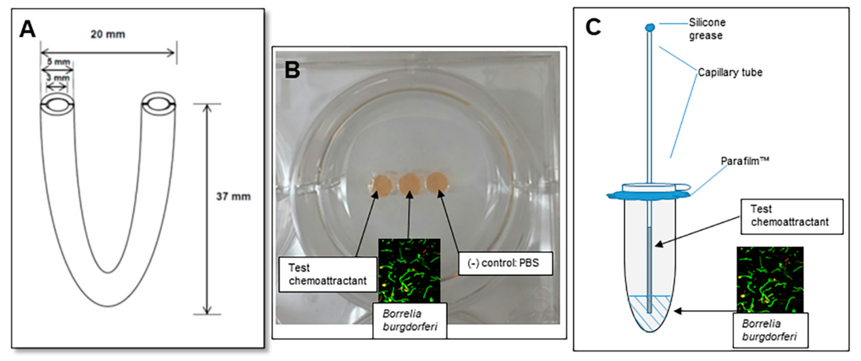 Pathogens 11 00530 g001