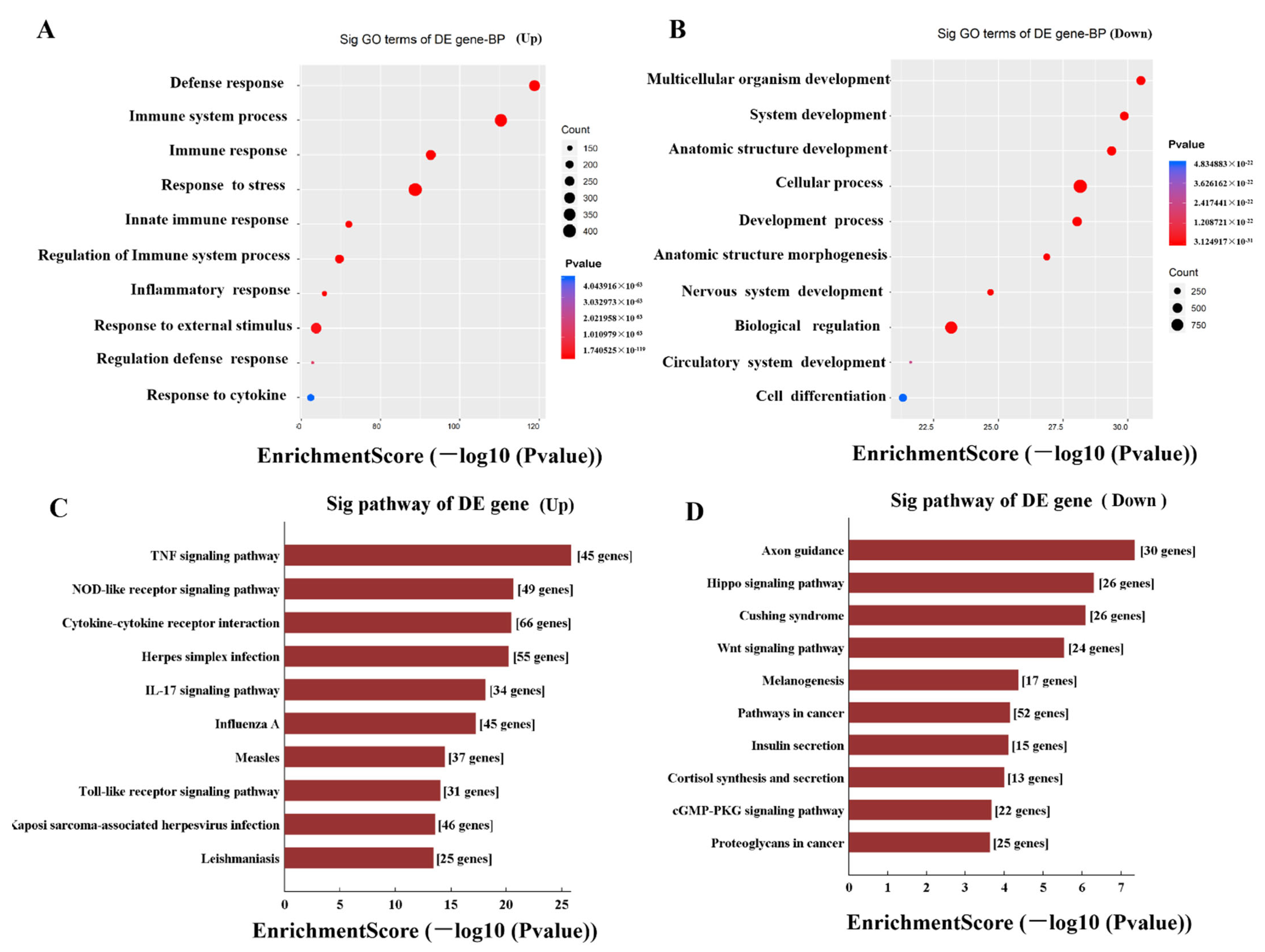 Pathogens 11 00532 g005