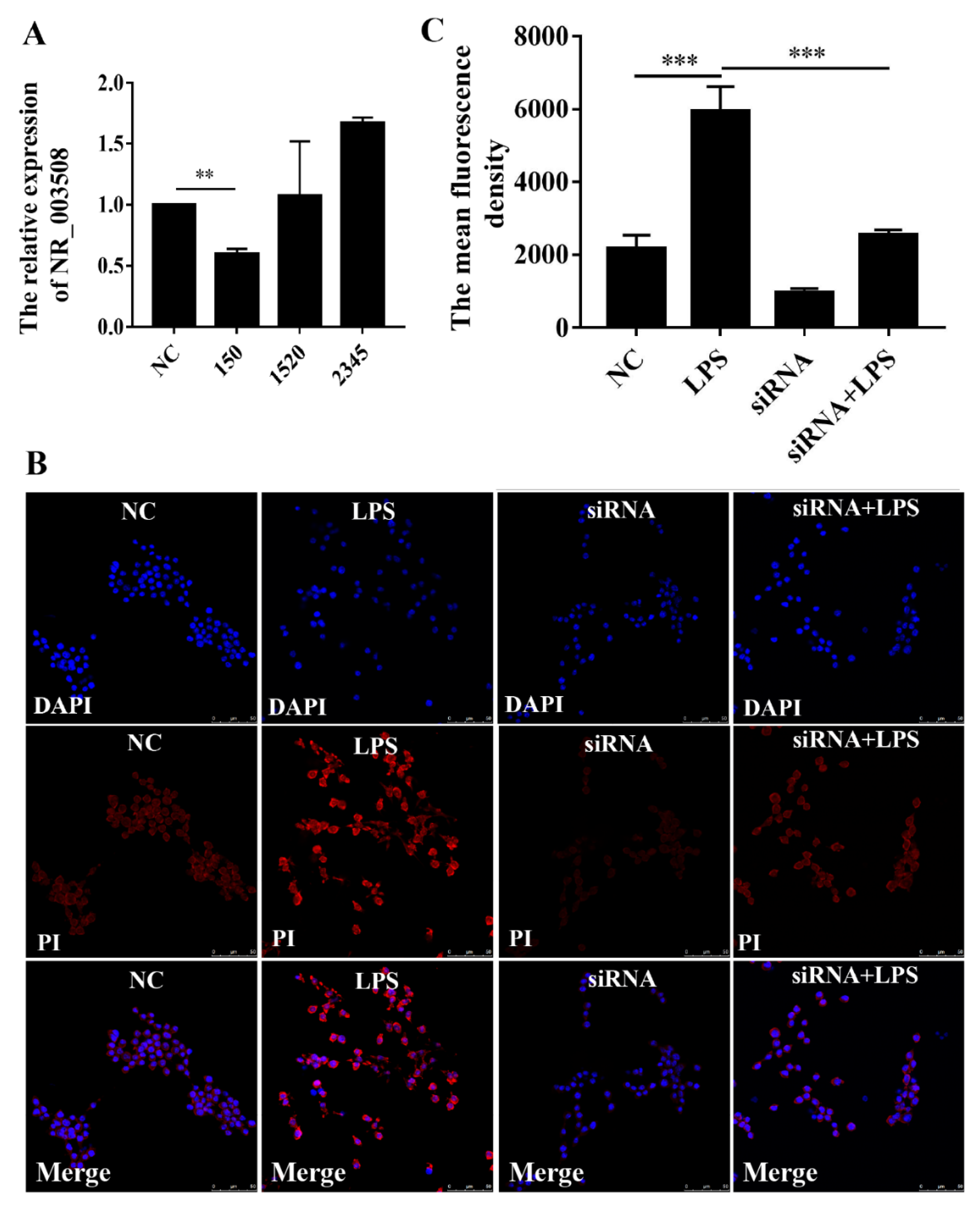 Pathogens 11 00532 g007