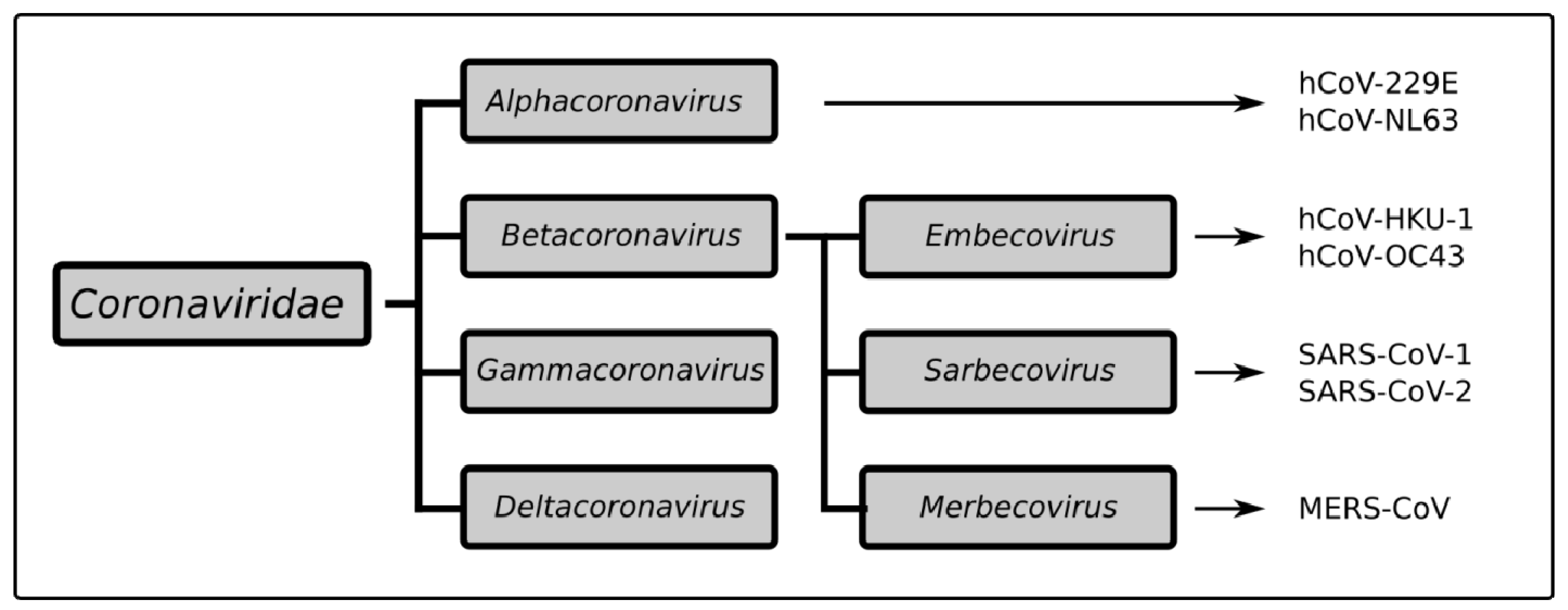 Pathogens 11 00538 g002