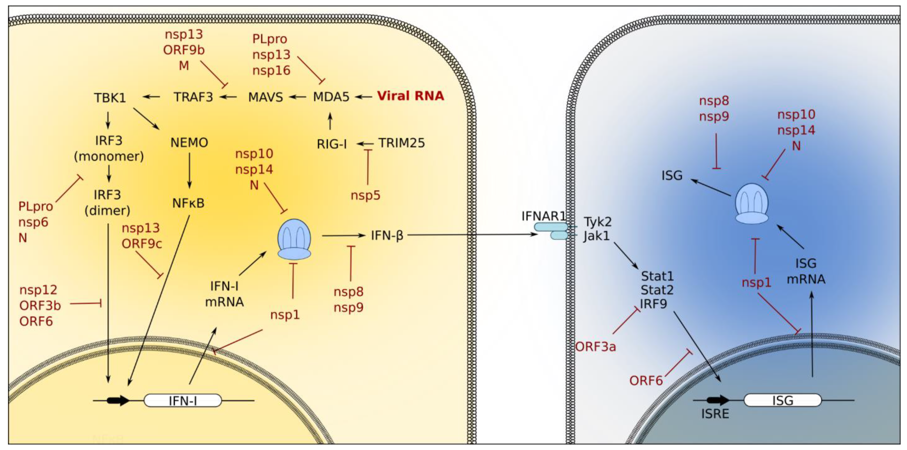 Pathogens 11 00538 g003