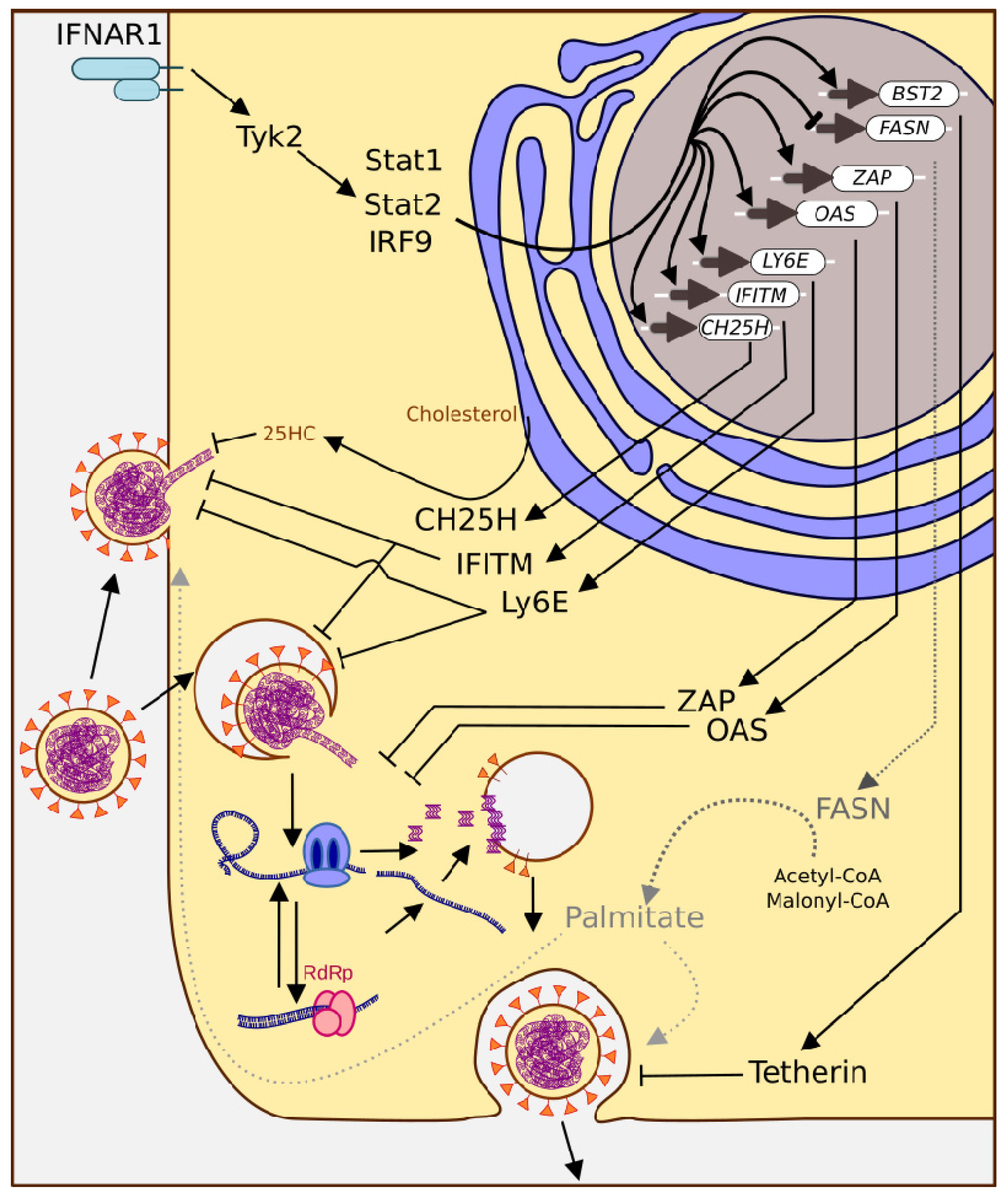Pathogens 11 00538 g004