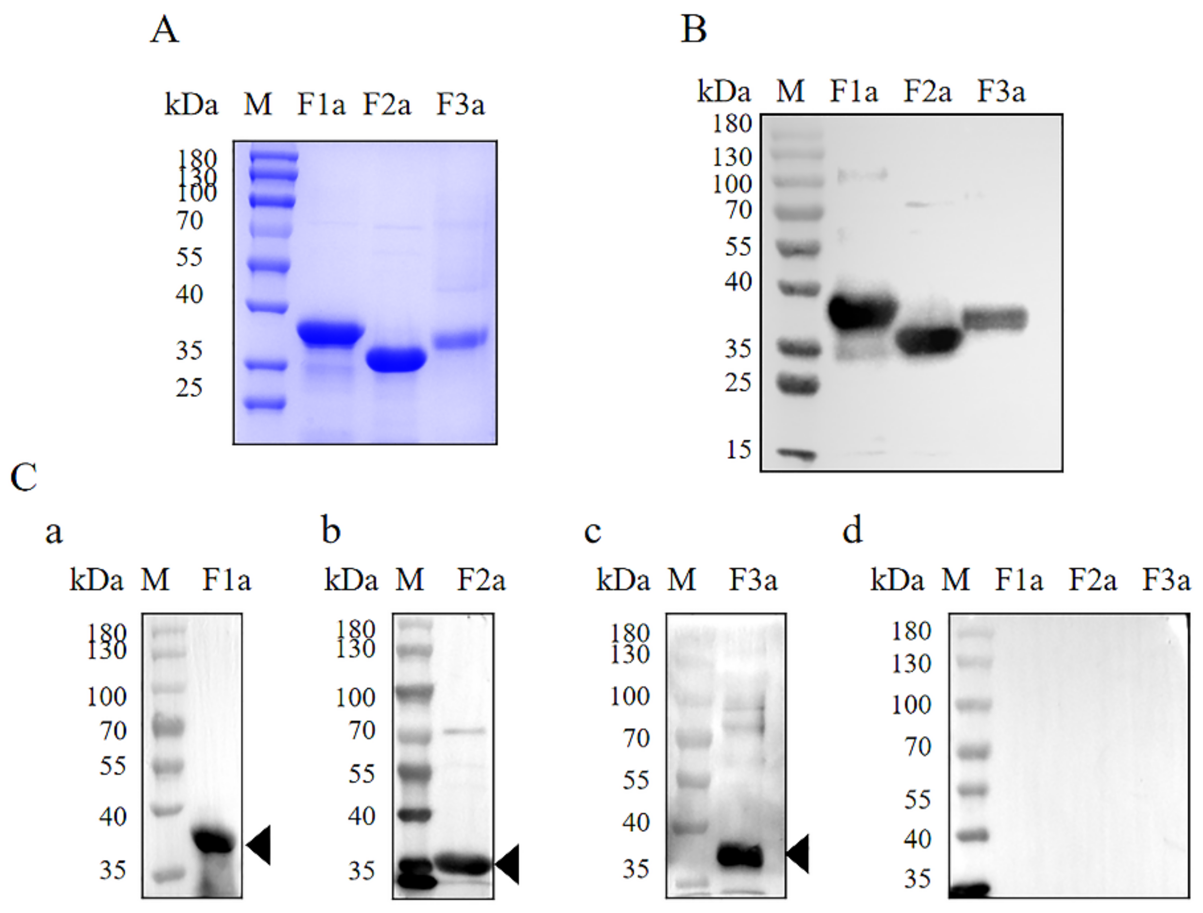 Pathogens 11 00550 g002