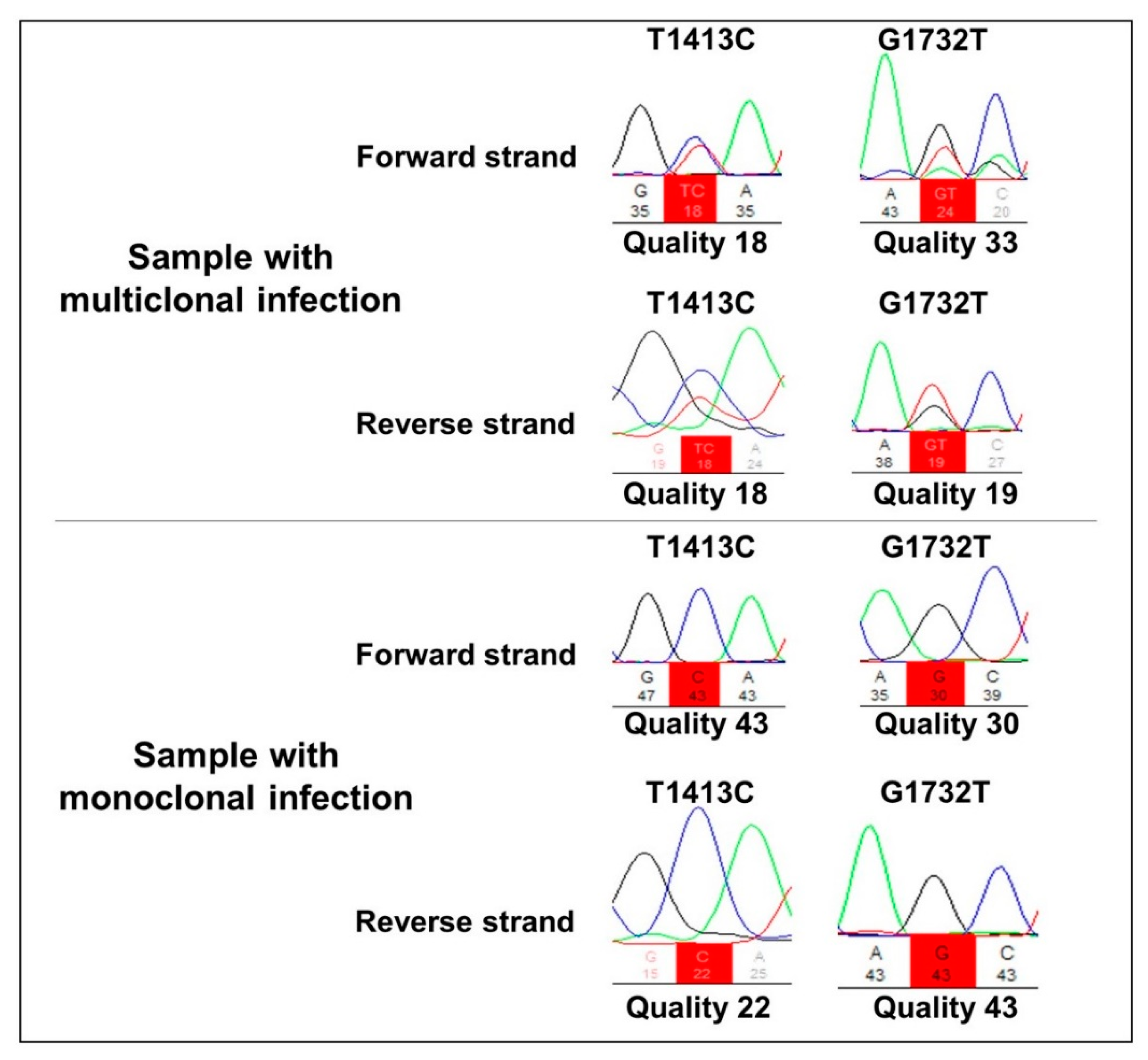 Pathogens 11 00554 g001