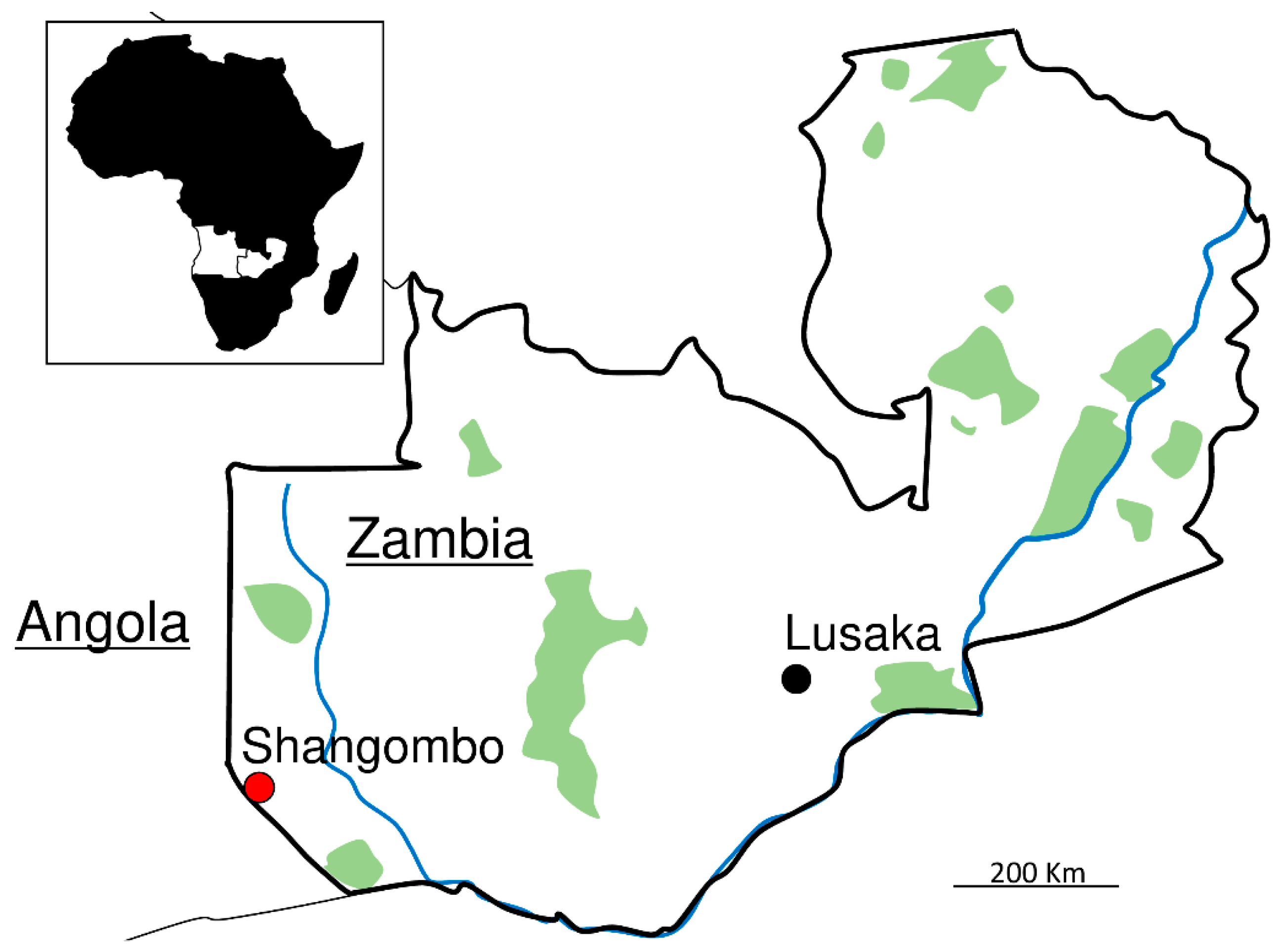 Pathogens 11 00566 g001