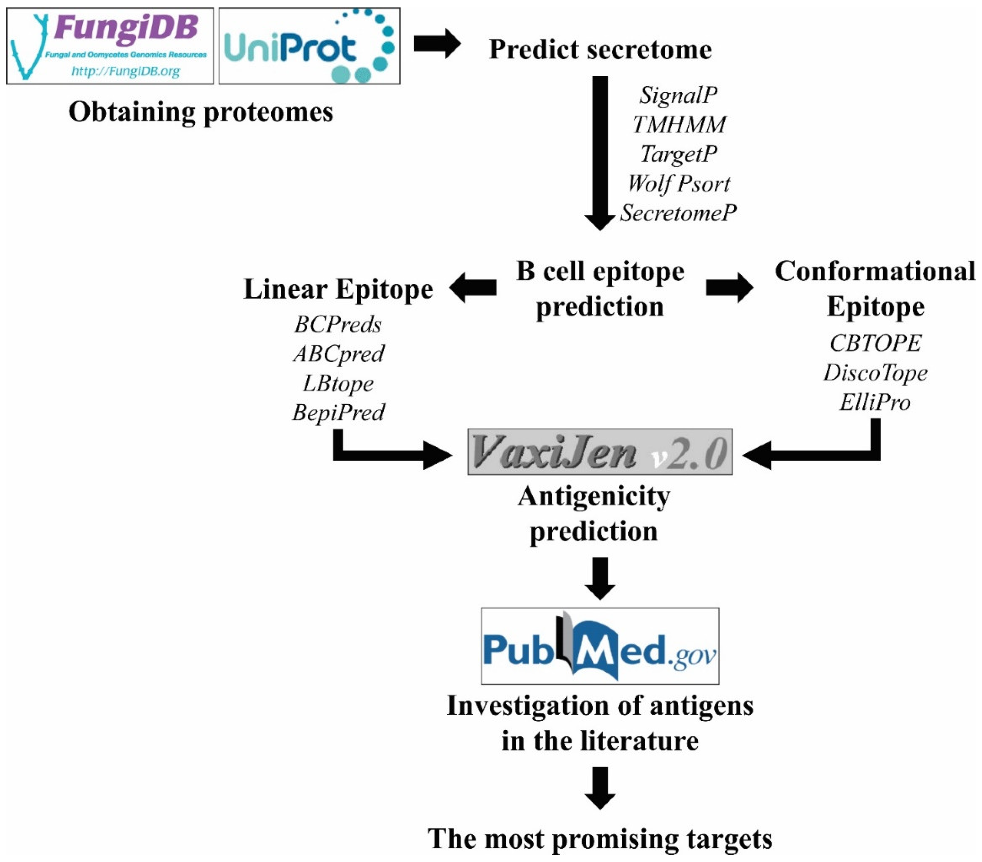 Pathogens 11 00569 g001