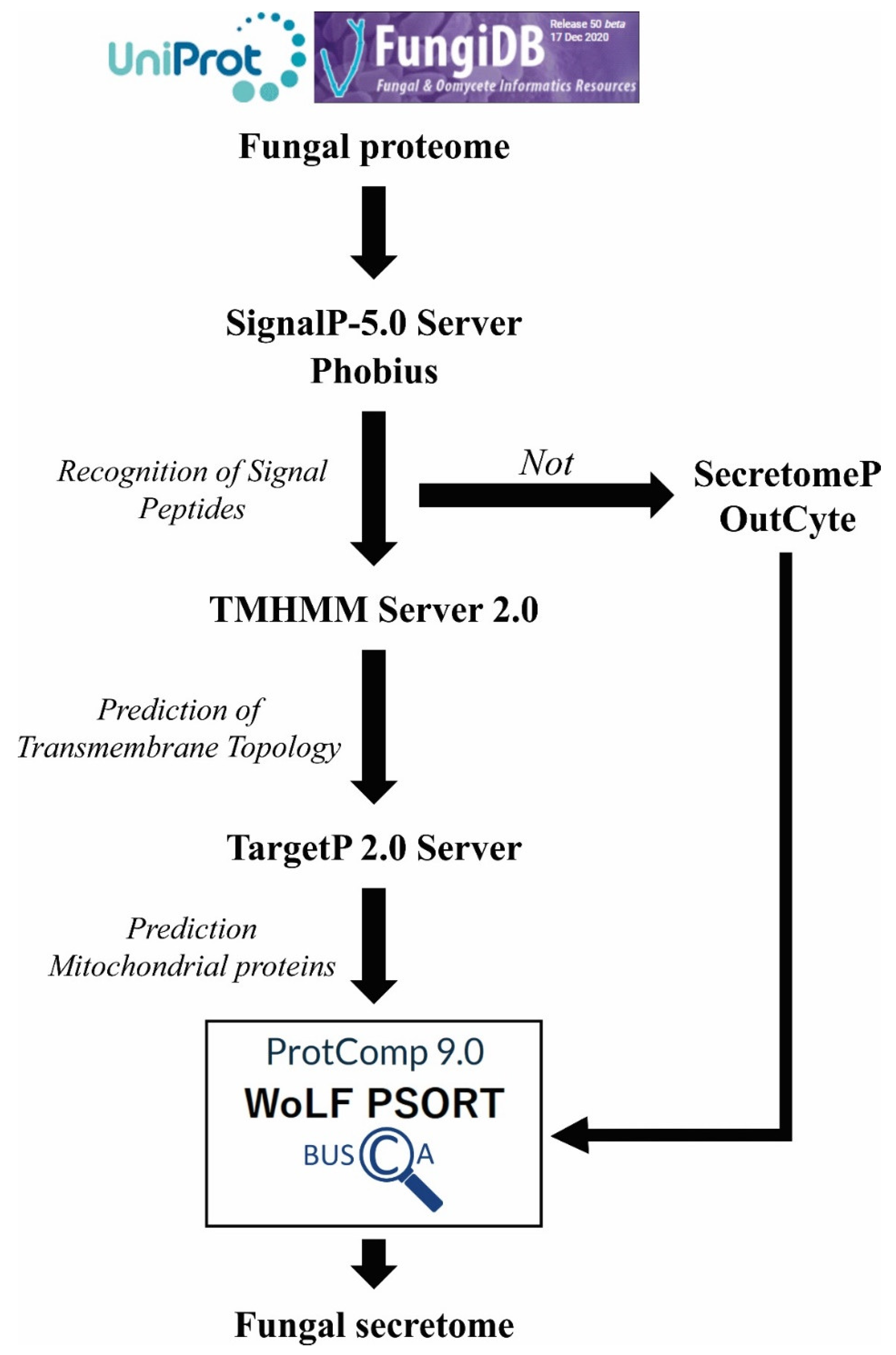 Pathogens 11 00569 g002