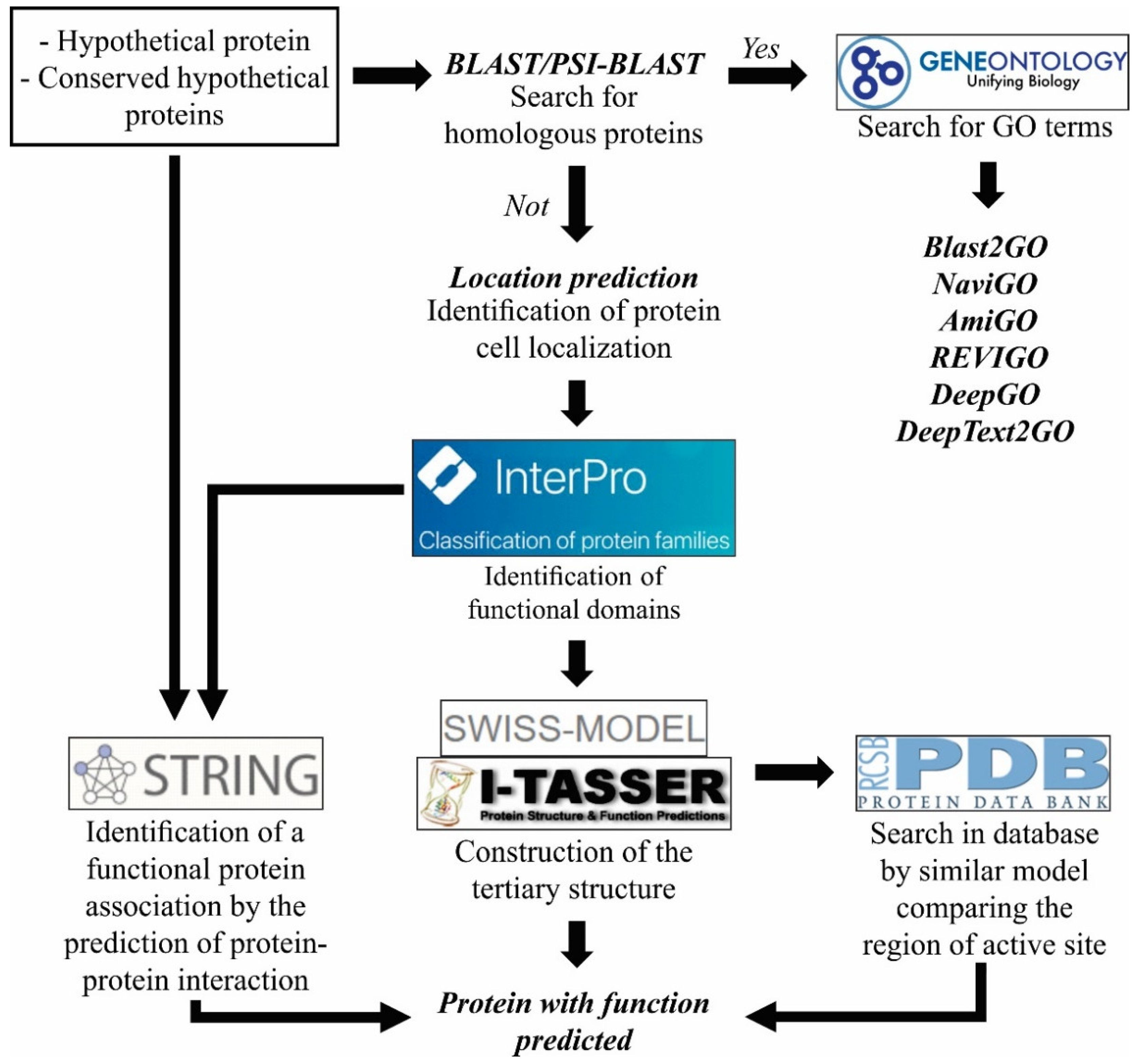 Pathogens 11 00569 g003