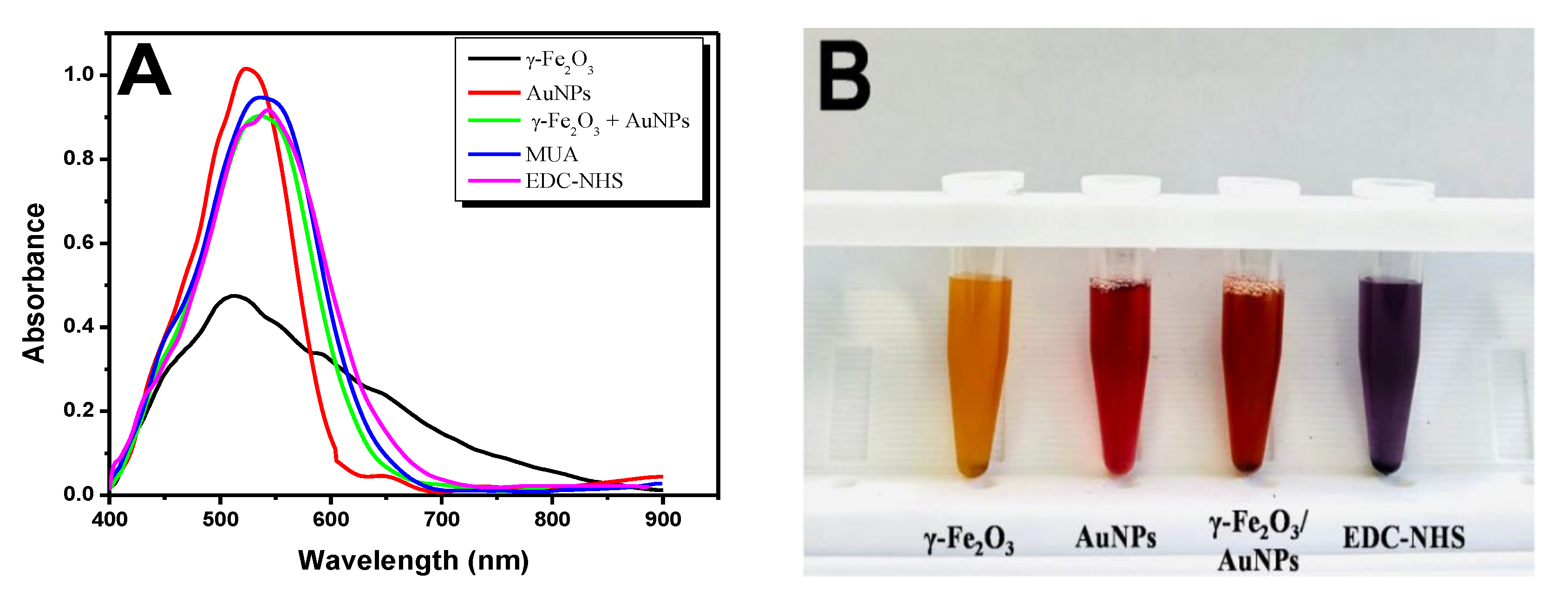 Pathogens 11 00570 g002