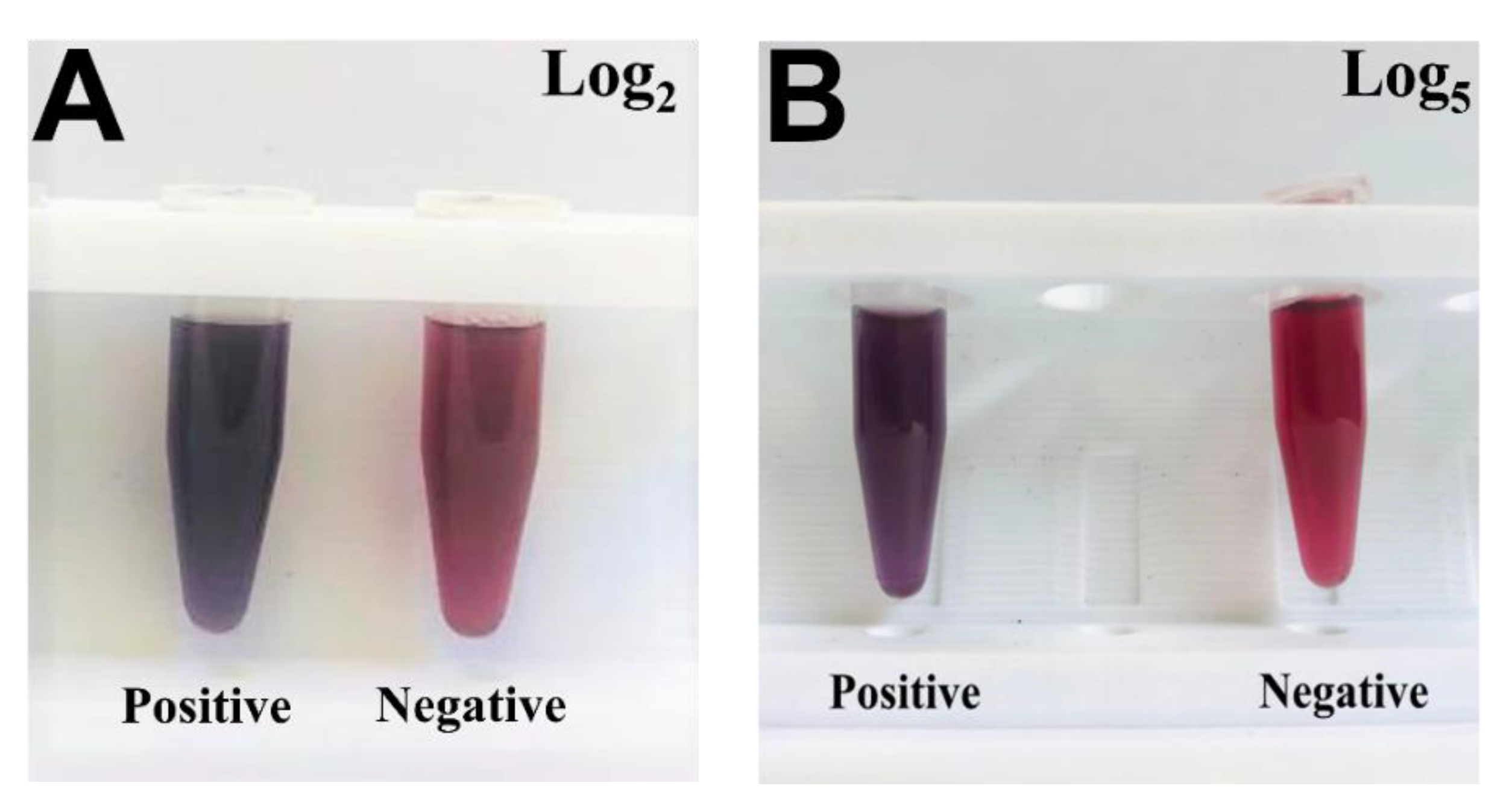 Pathogens 11 00570 g005