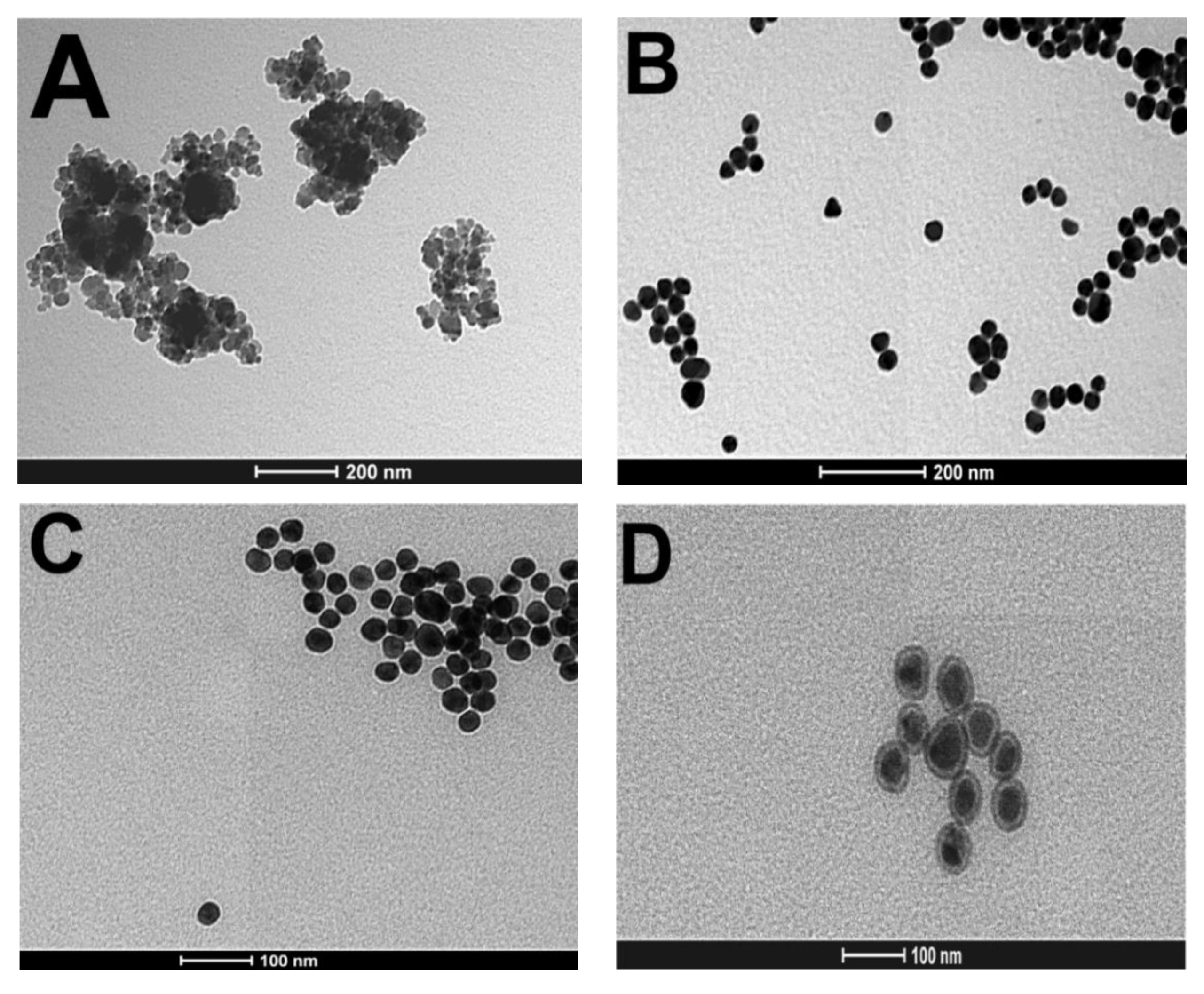 Pathogens 11 00570 g006