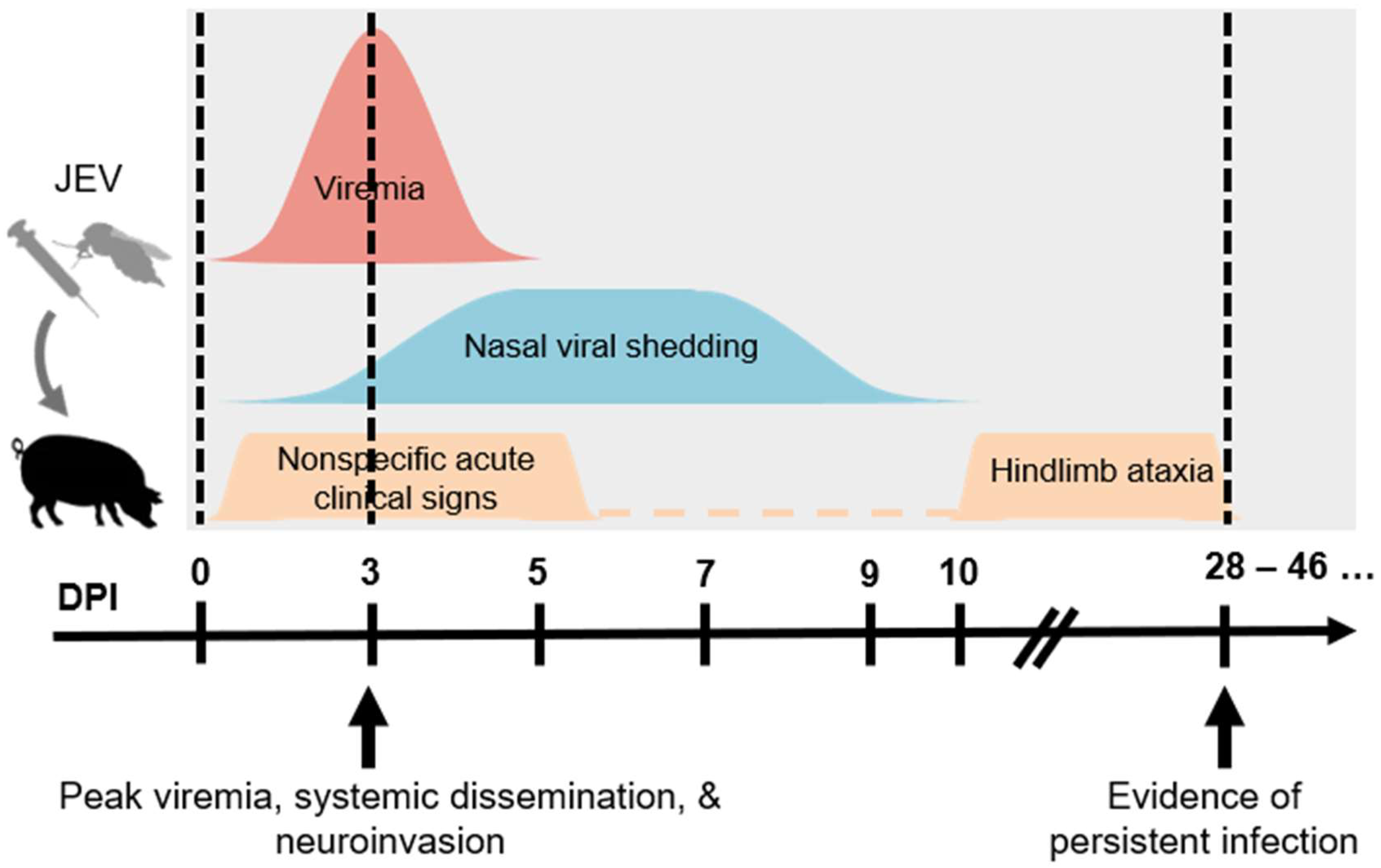 Pathogens 11 00575 g001