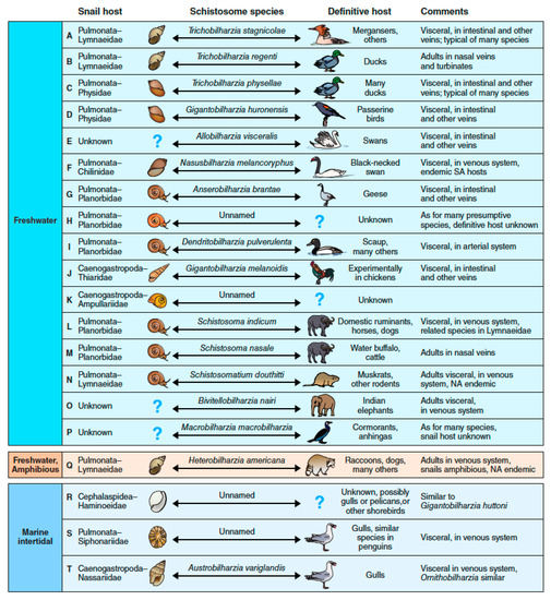 Pathogens 11 00587 g004