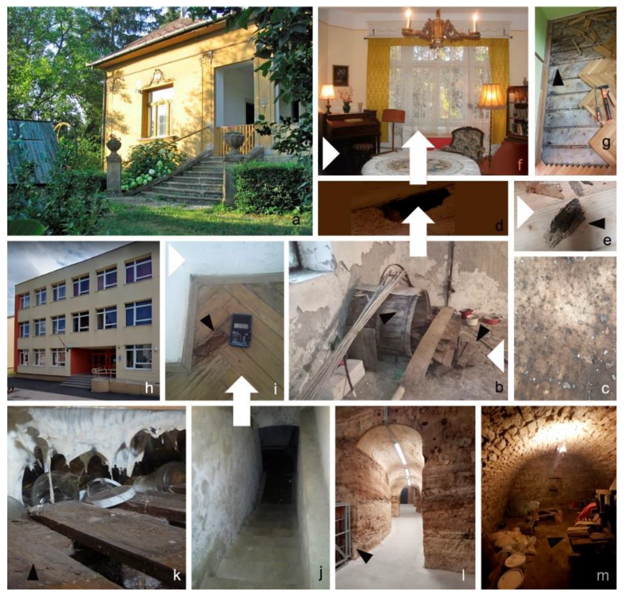 Pathogens 11 00593 g004