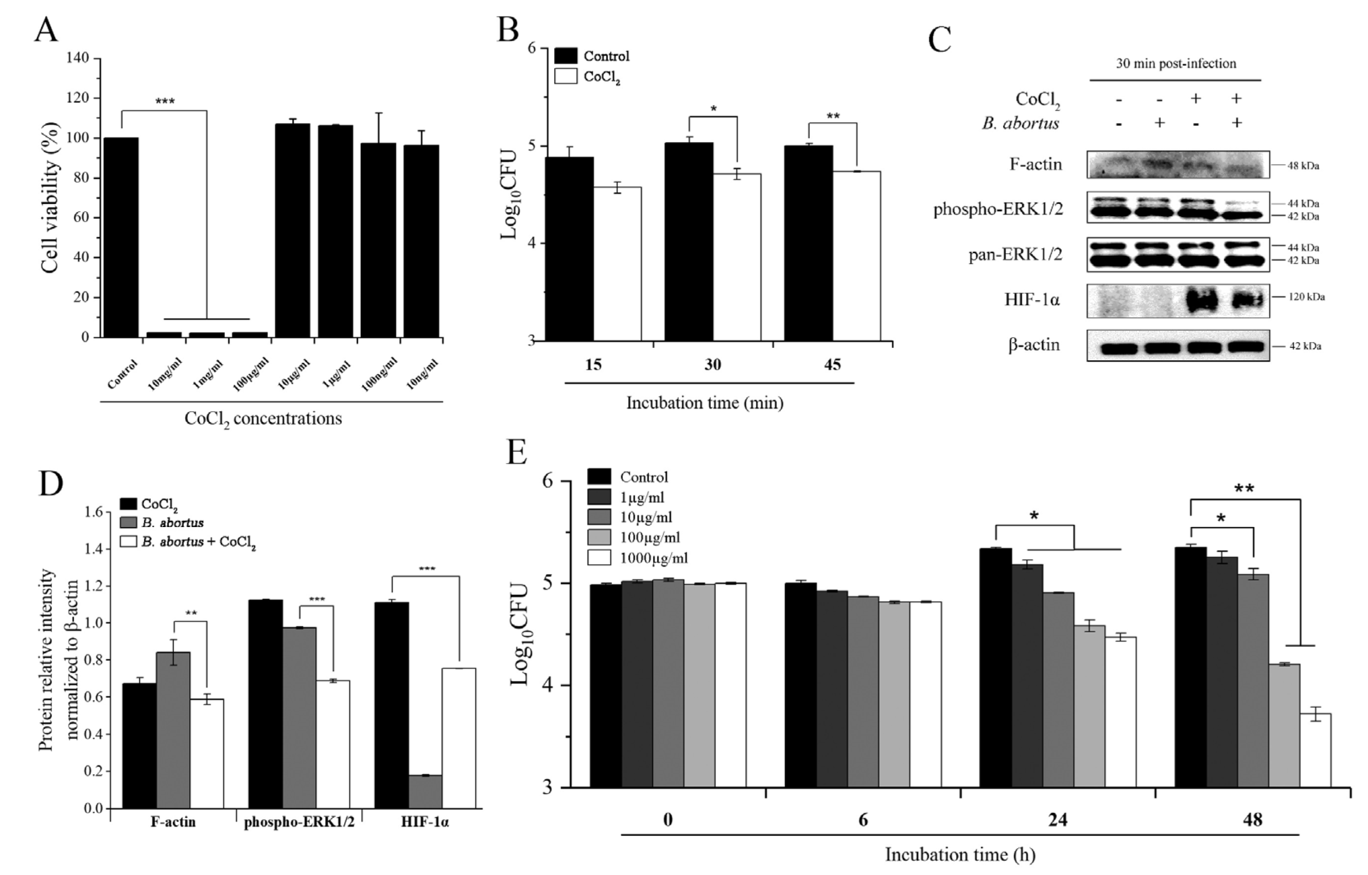 Pathogens 11 00596 g001