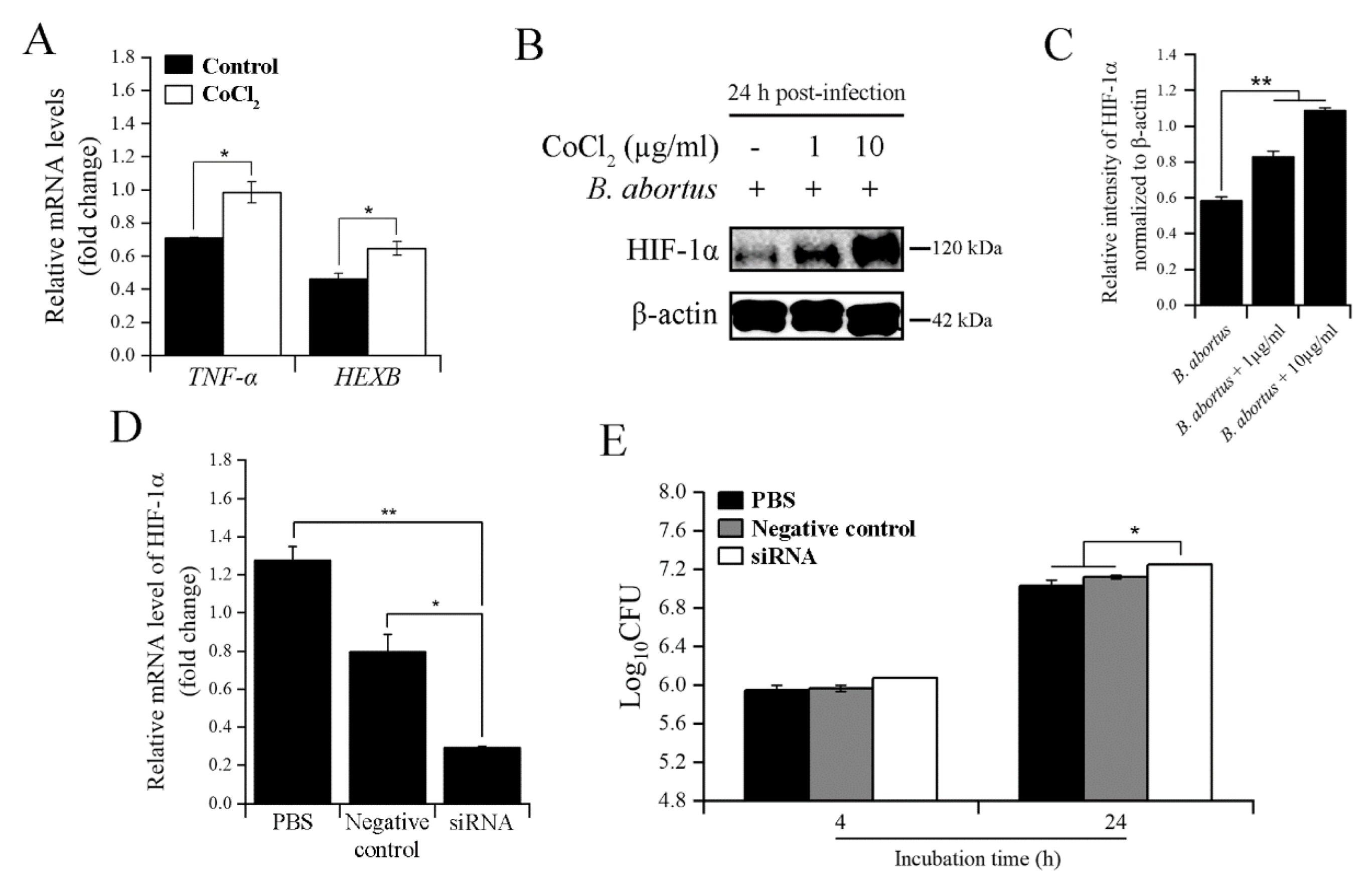Pathogens 11 00596 g003
