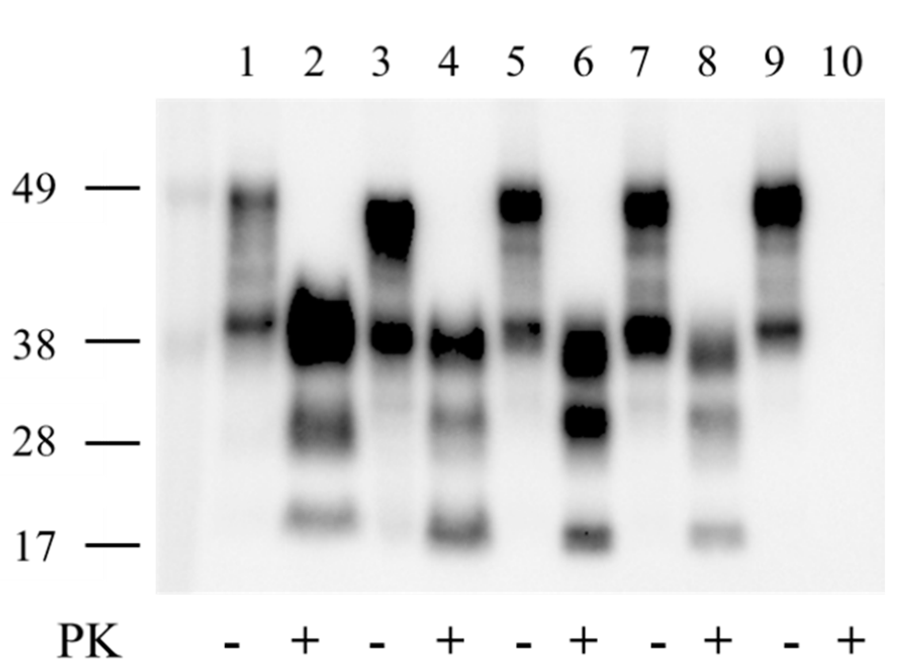 Pathogens 11 00597 g001 Pathogens 11 00597 g001