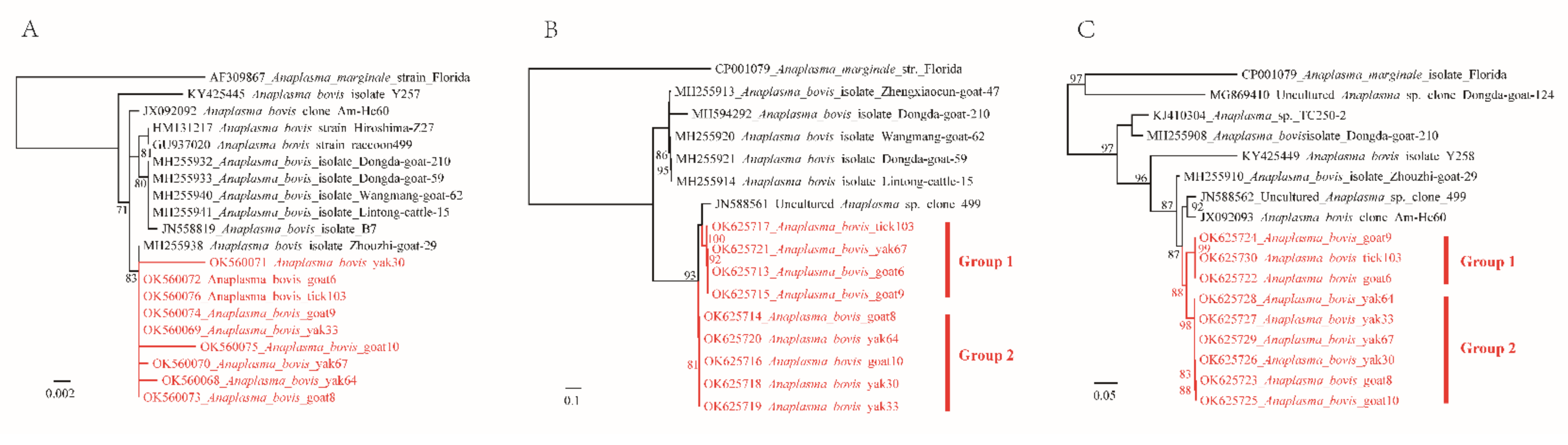 Pathogens 11 00606 g002 Pathogens 11 00606 g002