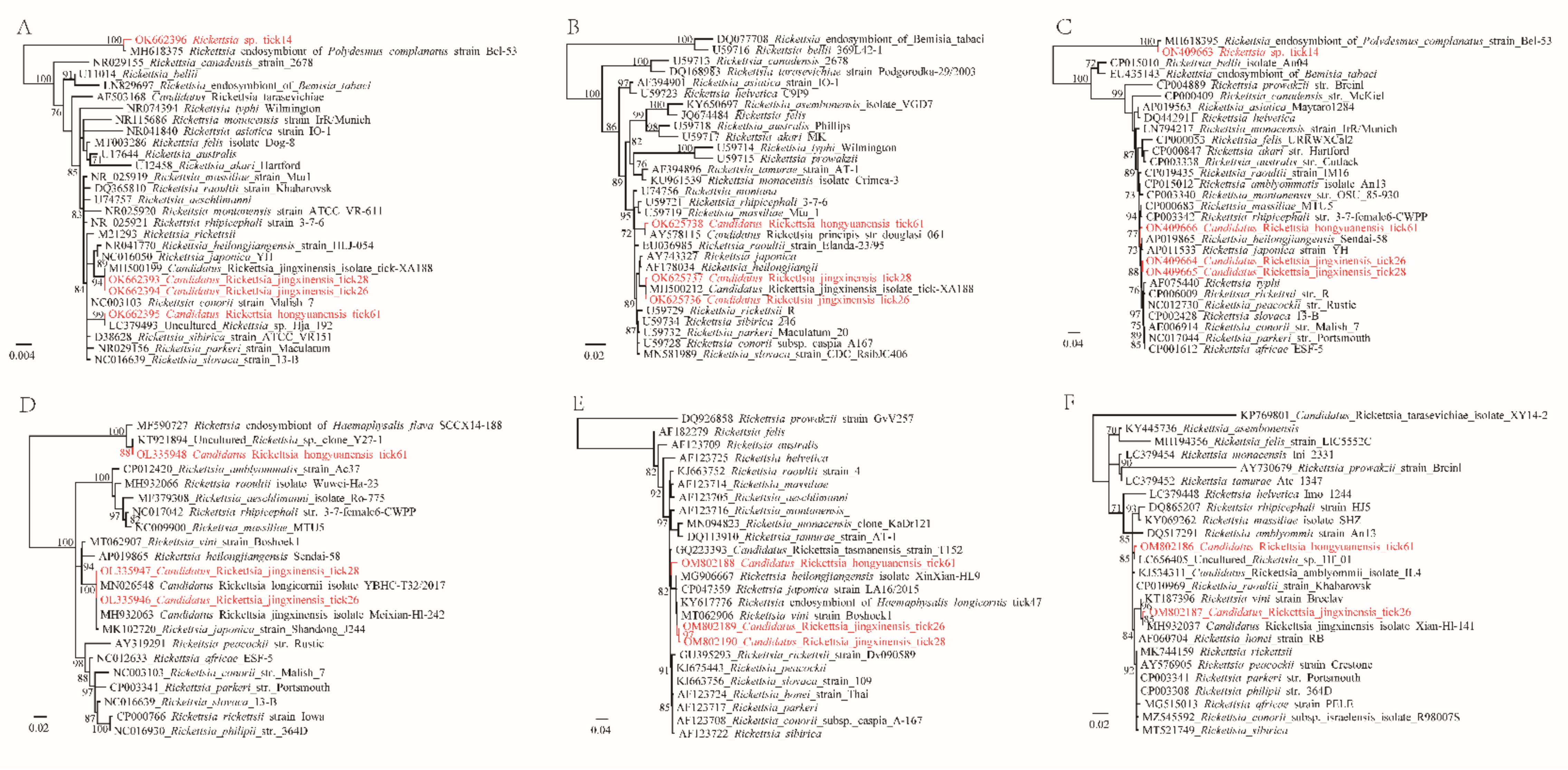 Pathogens 11 00606 g003 Pathogens 11 00606 g003