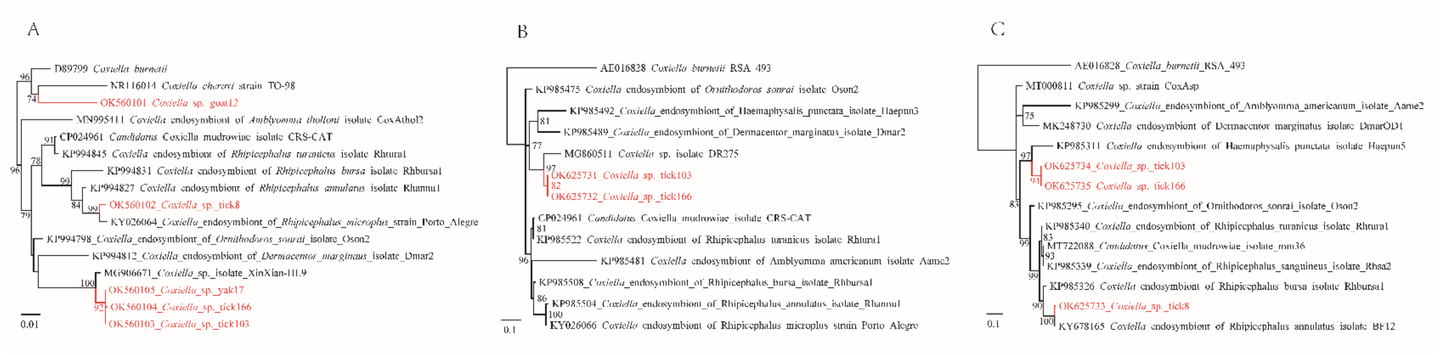 Pathogens 11 00606 g004 Pathogens 11 00606 g004