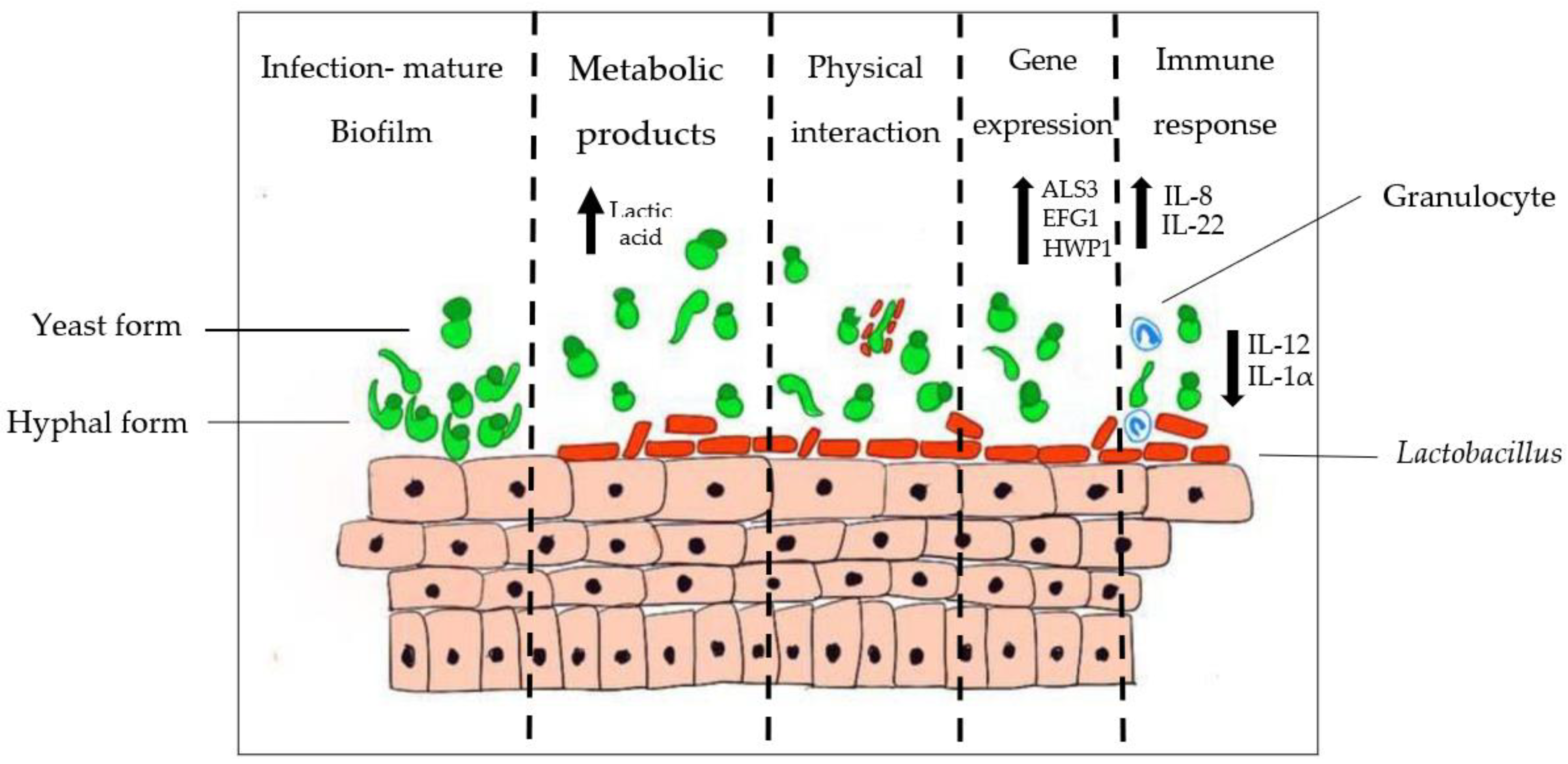 Pathogens 11 00618 g002