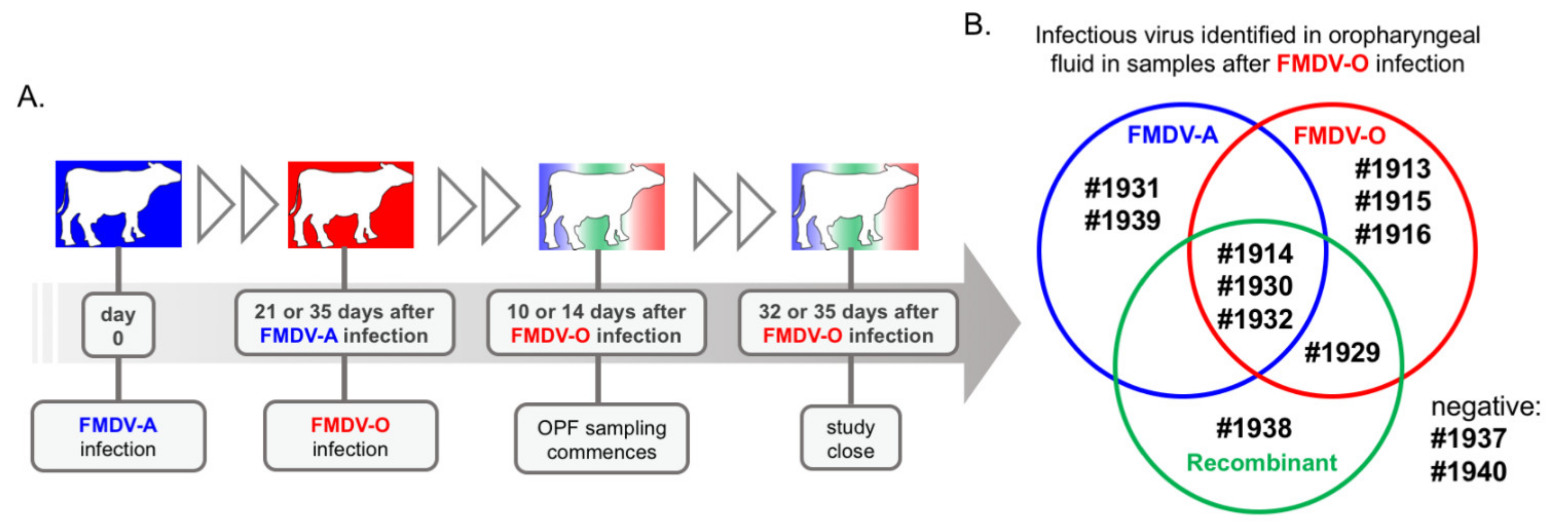 Pathogens 11 00644 g001 Pathogens 11 00644 g001