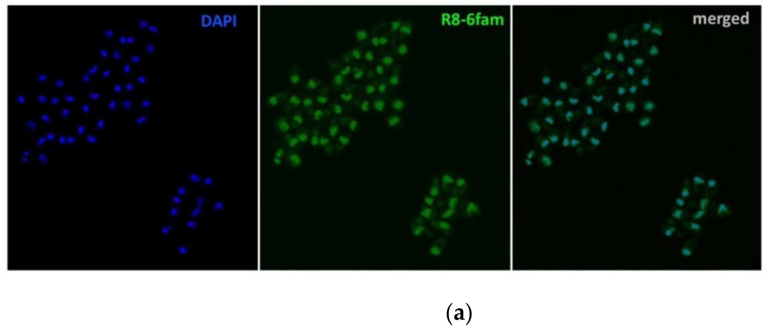 Pathogens 11 00653 g001a