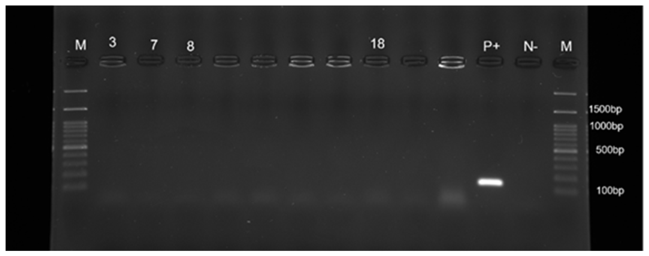 Pathogens 11 00656 g004