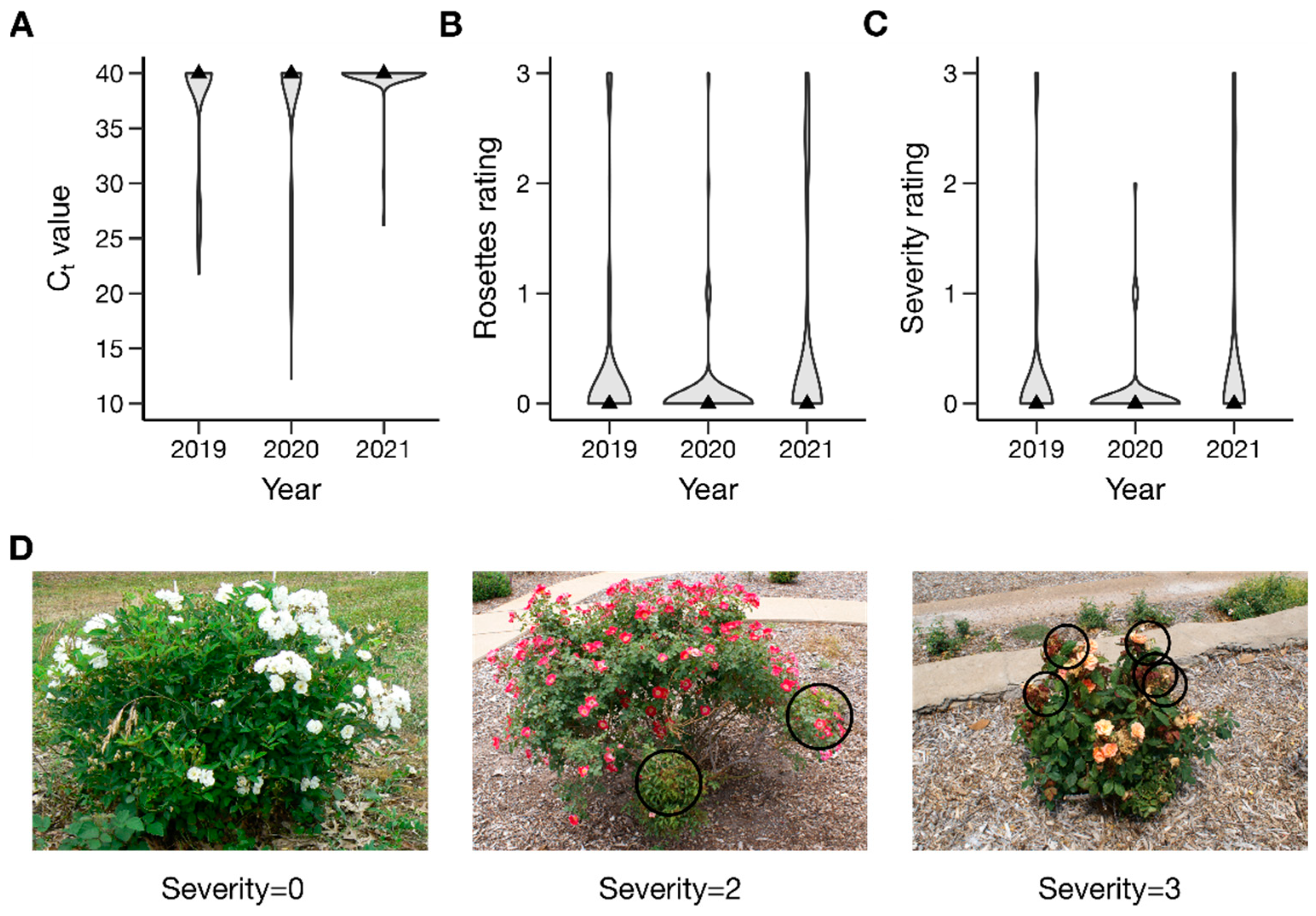 Pathogens 11 00660 g001
