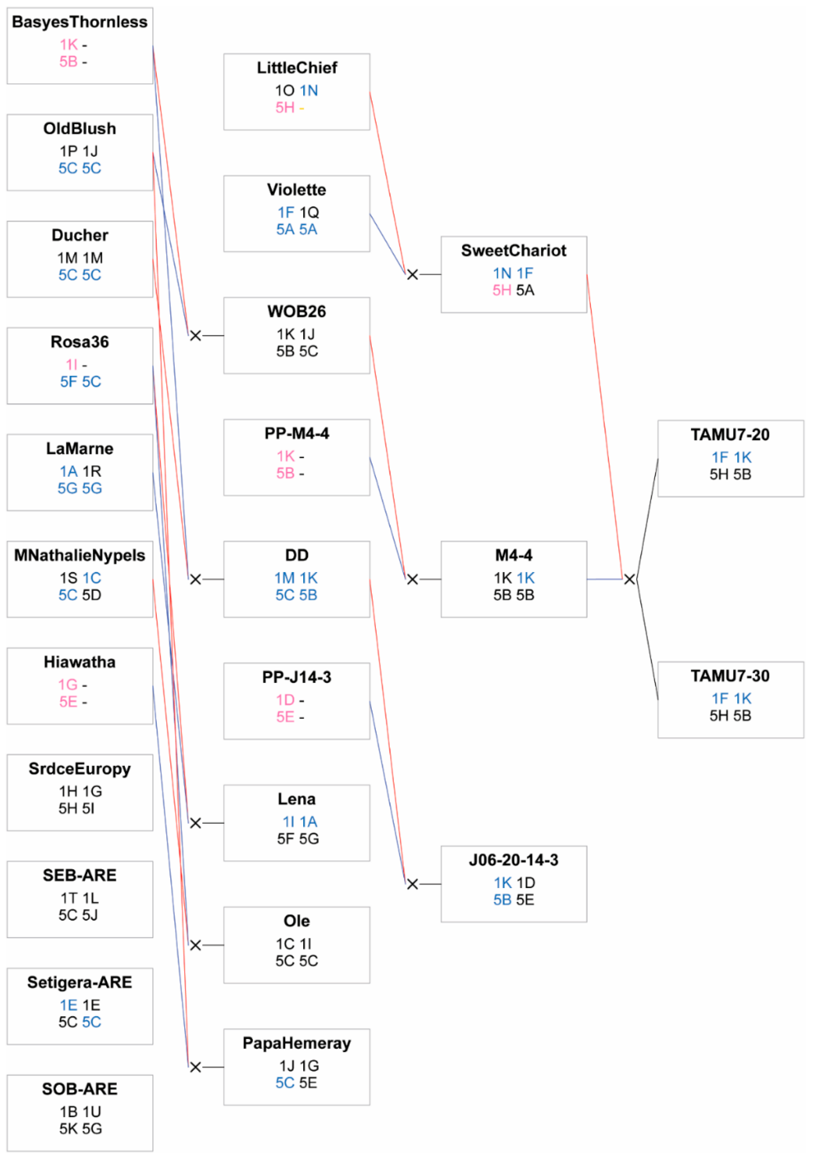 Pathogens 11 00660 g007
