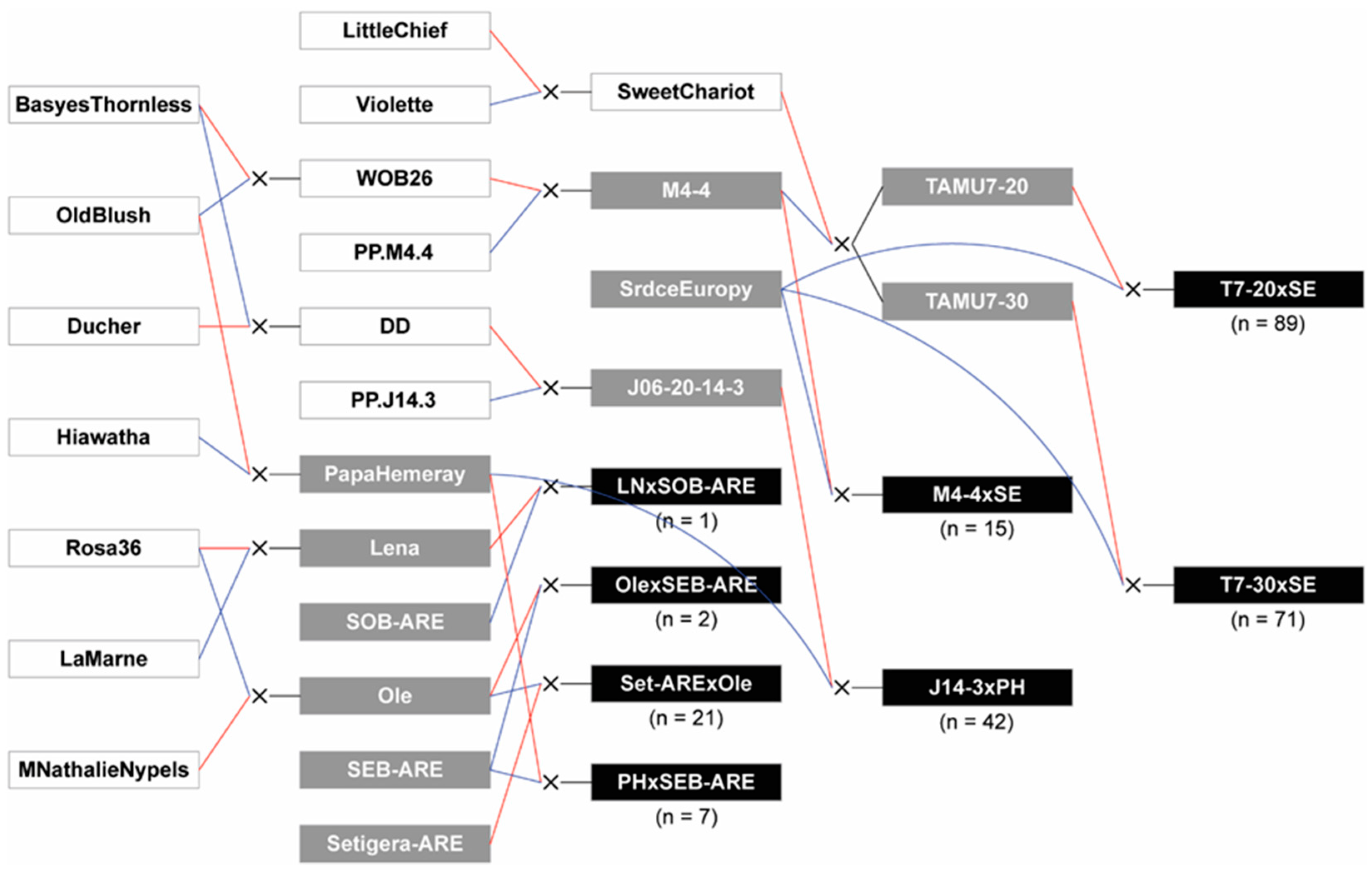 Pathogens 11 00660 g008