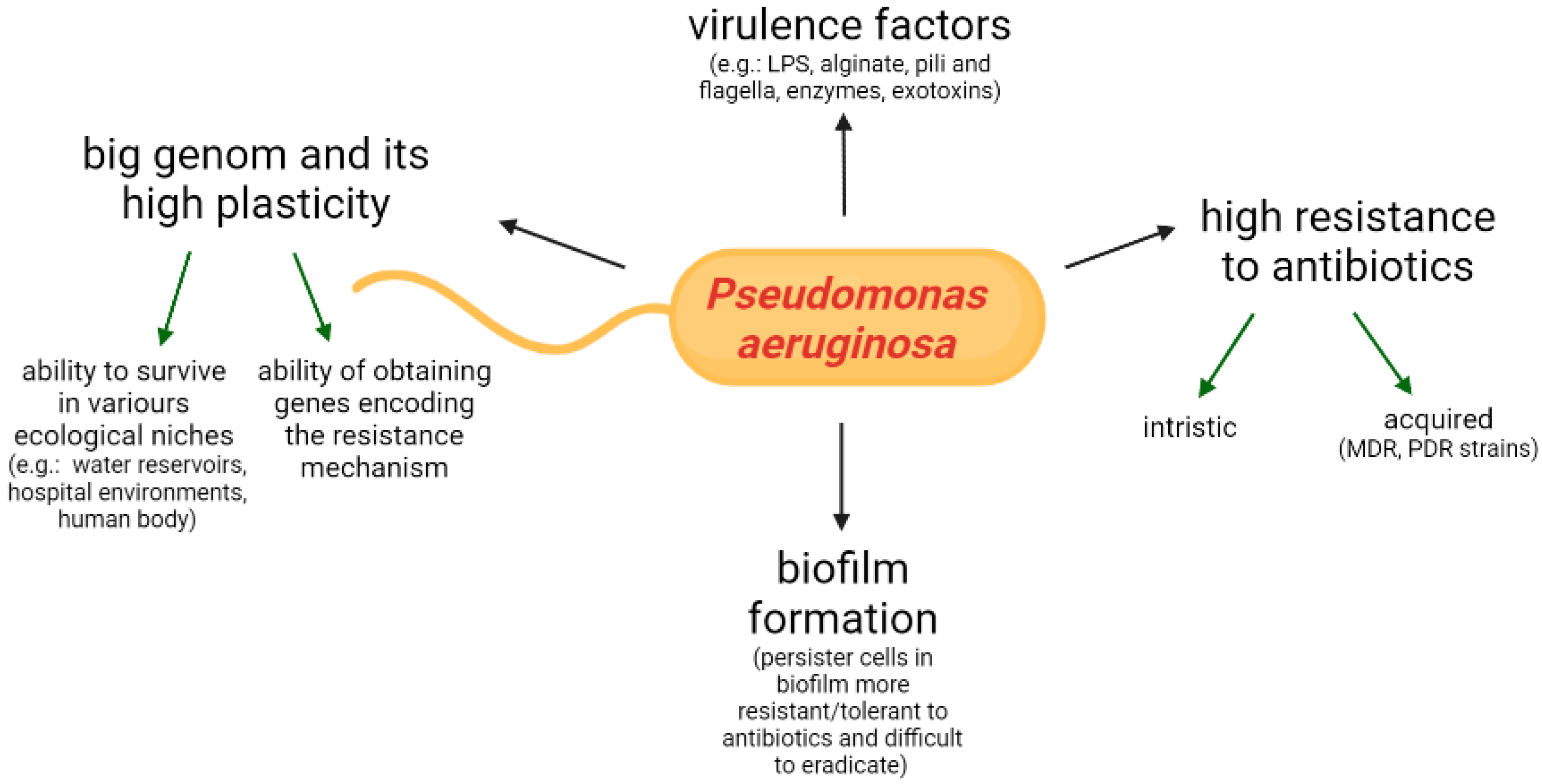 Pathogens 11 00679 g001