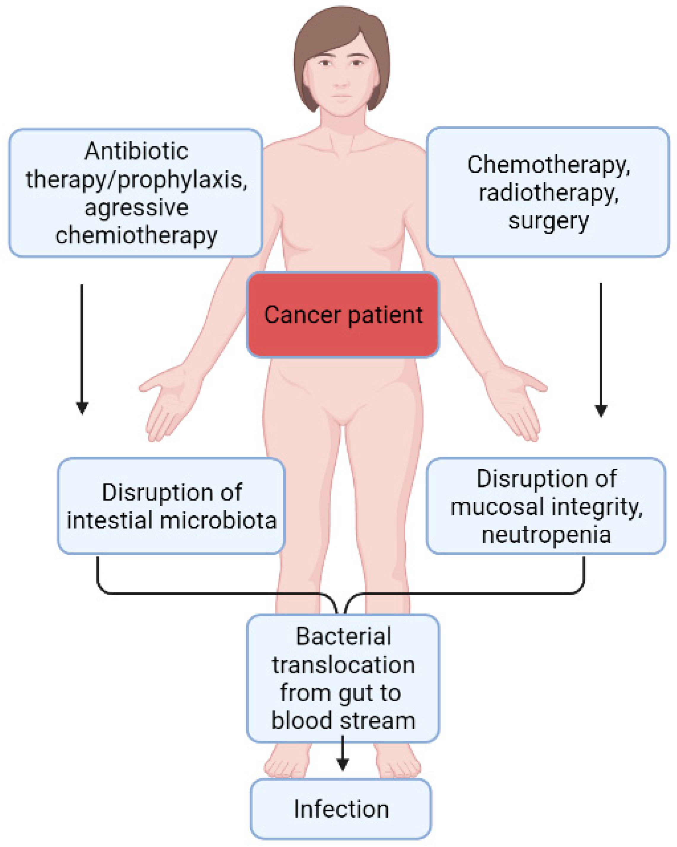 Pathogens 11 00679 g002