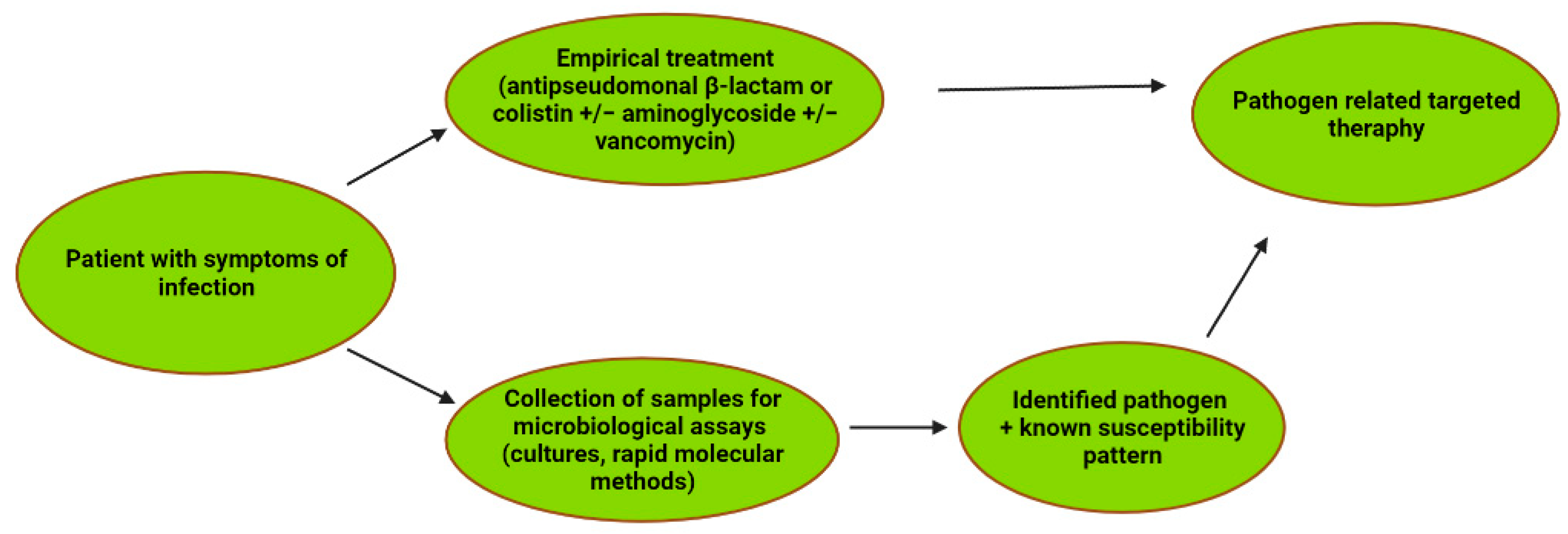Pathogens 11 00679 g004