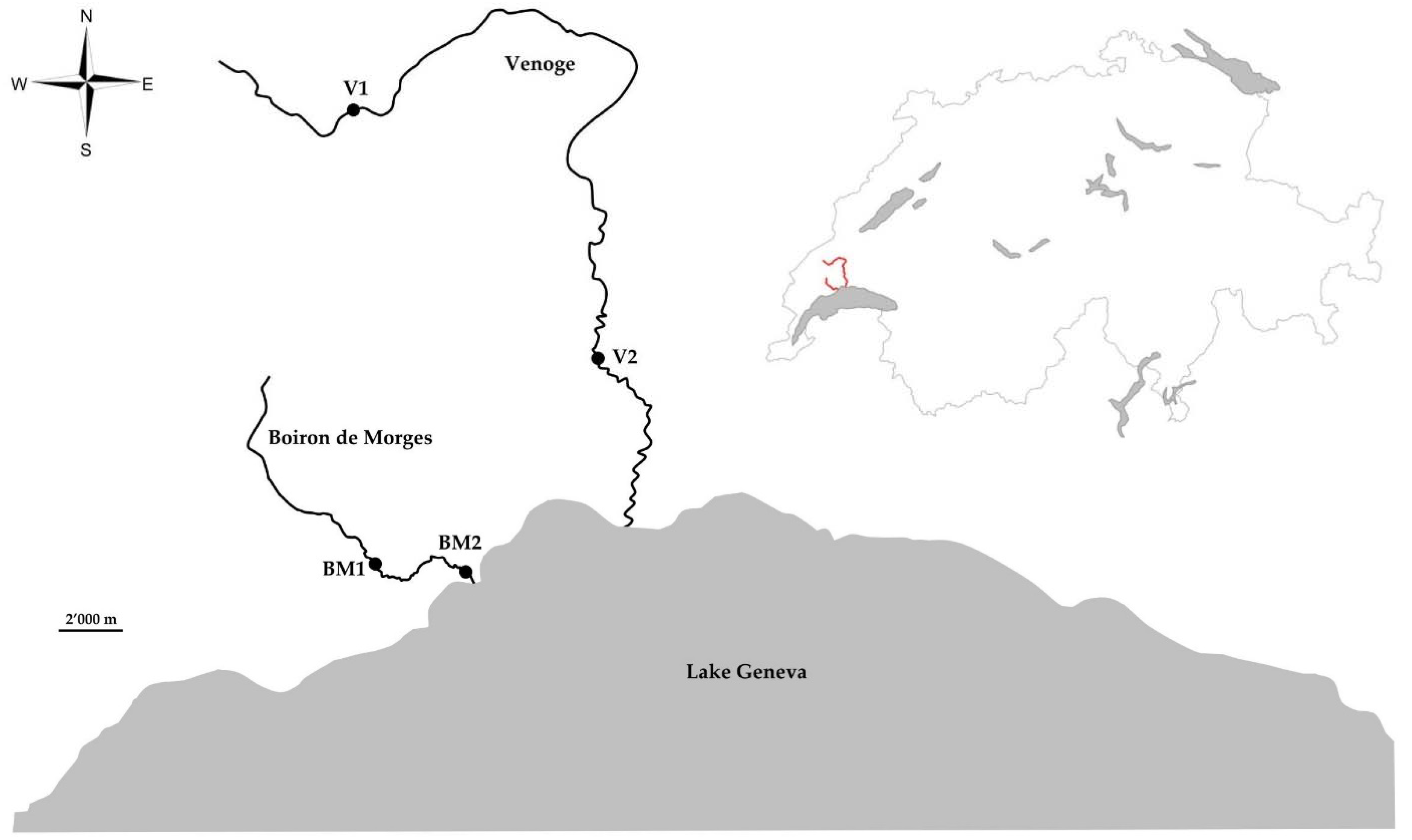 Pathogens 11 00681 g003 Pathogens 11 00681 g003