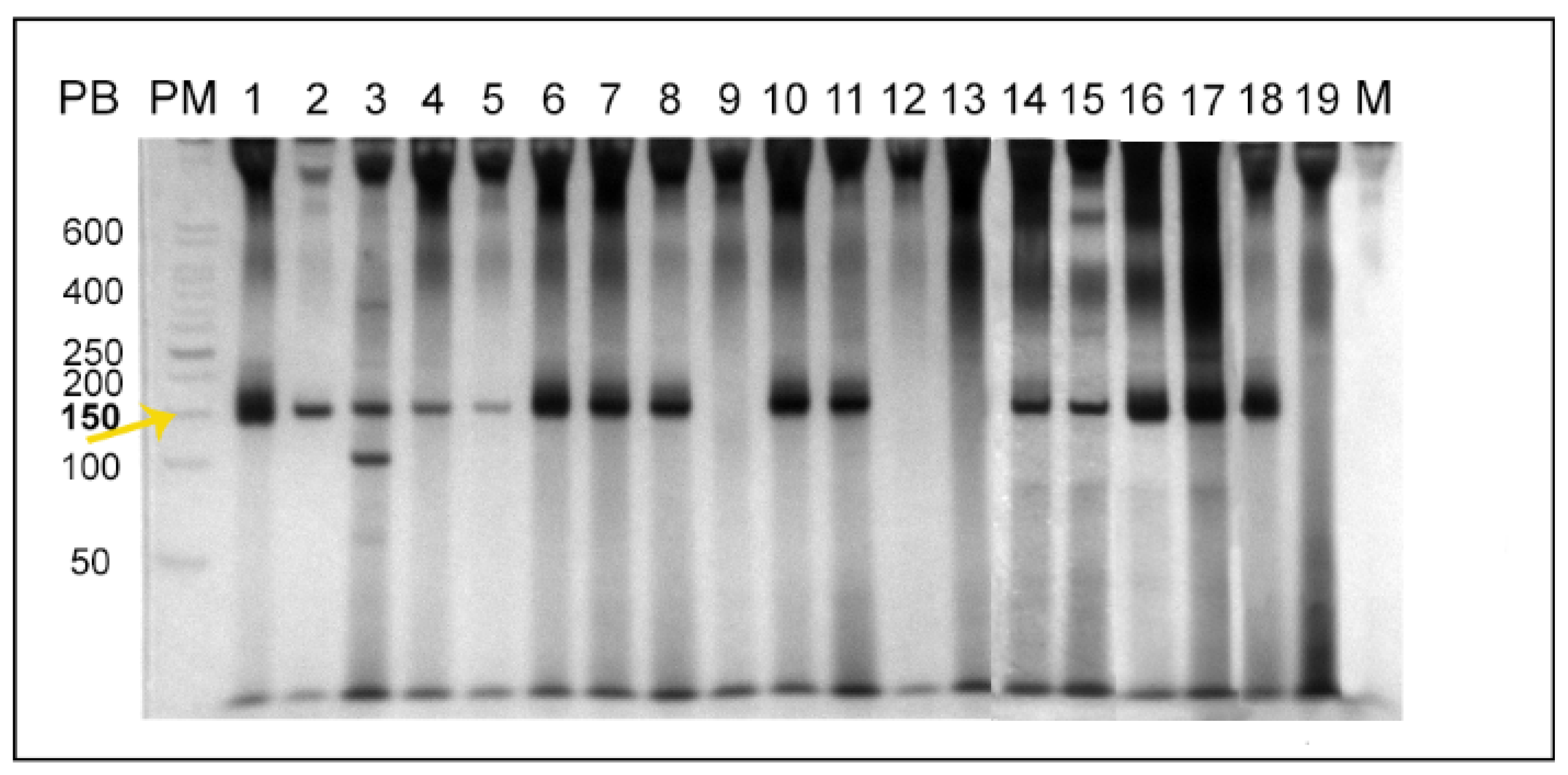 Pathogens 11 00688 g001