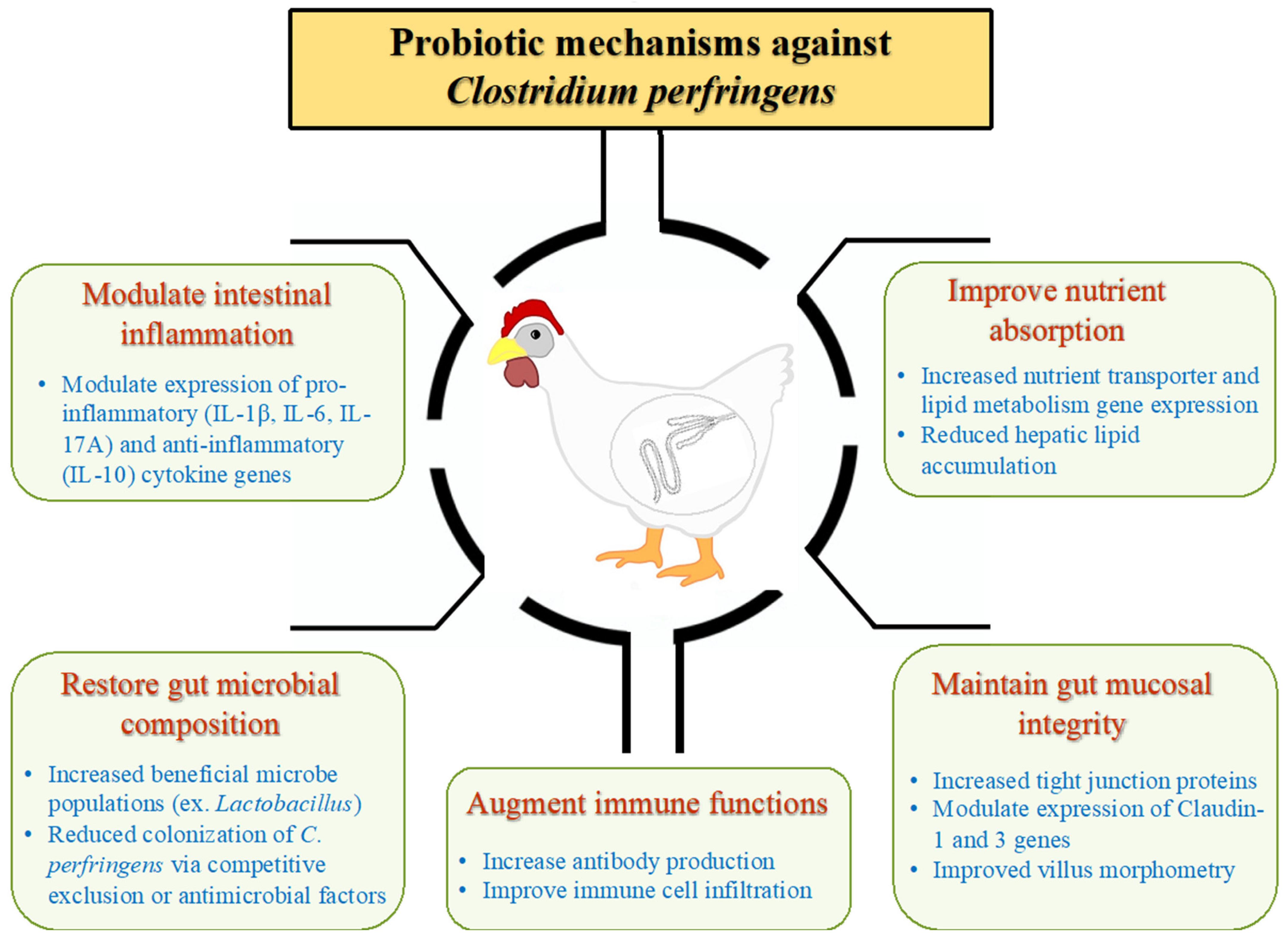 Pathogens 11 00692 g002 Pathogens 11 00692 g002