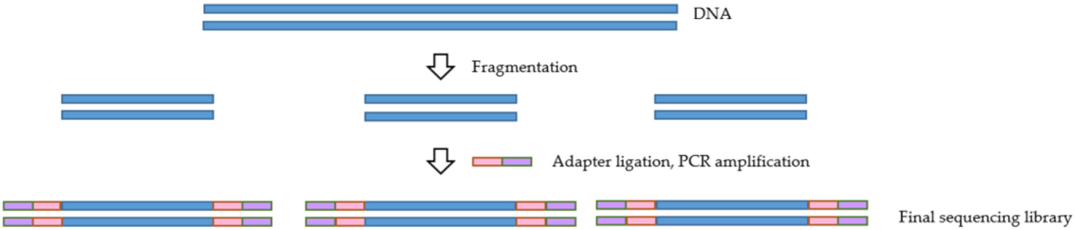 Pathogens 11 00693 g002