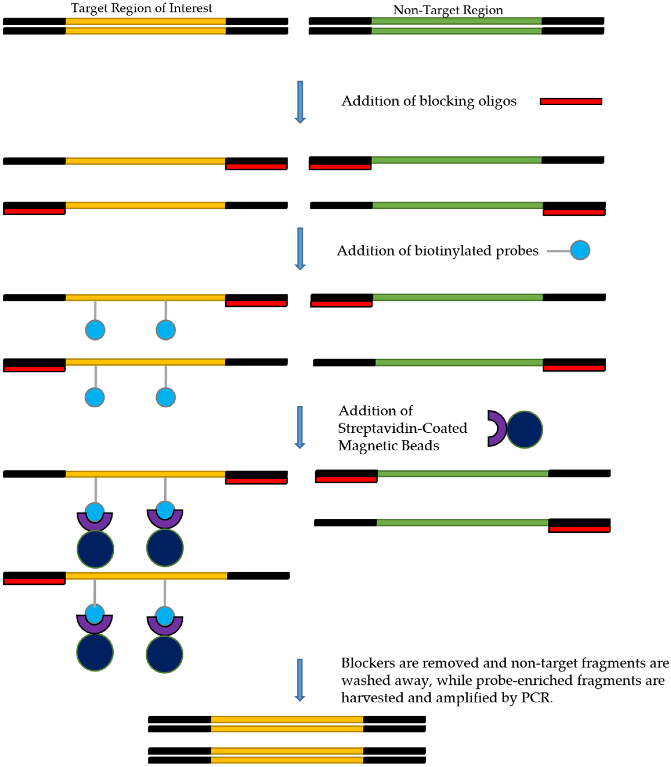 Pathogens 11 00693 g003