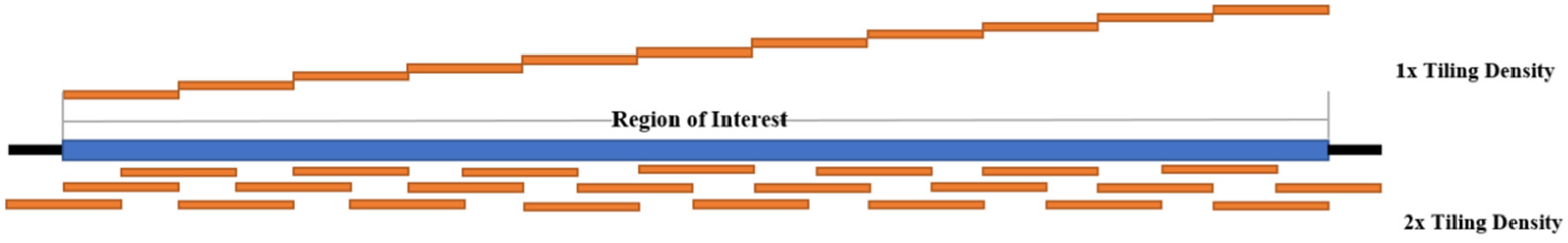 Pathogens 11 00693 g004