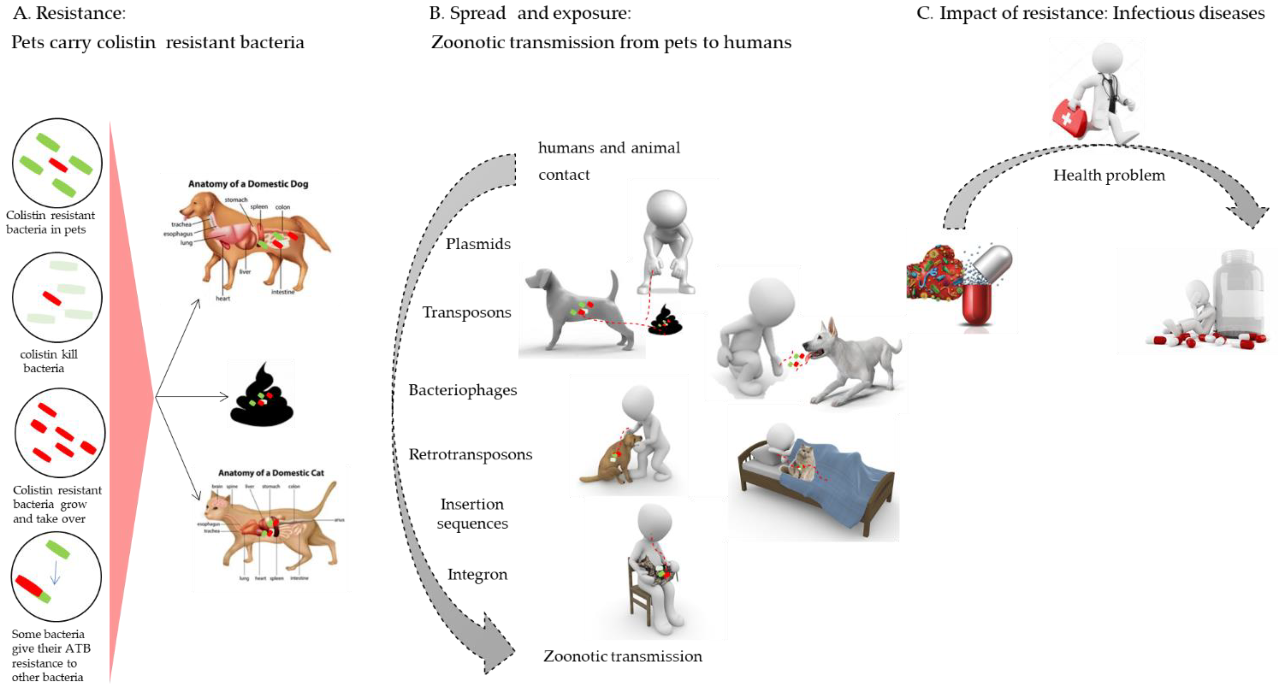 Pathogens 11 00698 g004