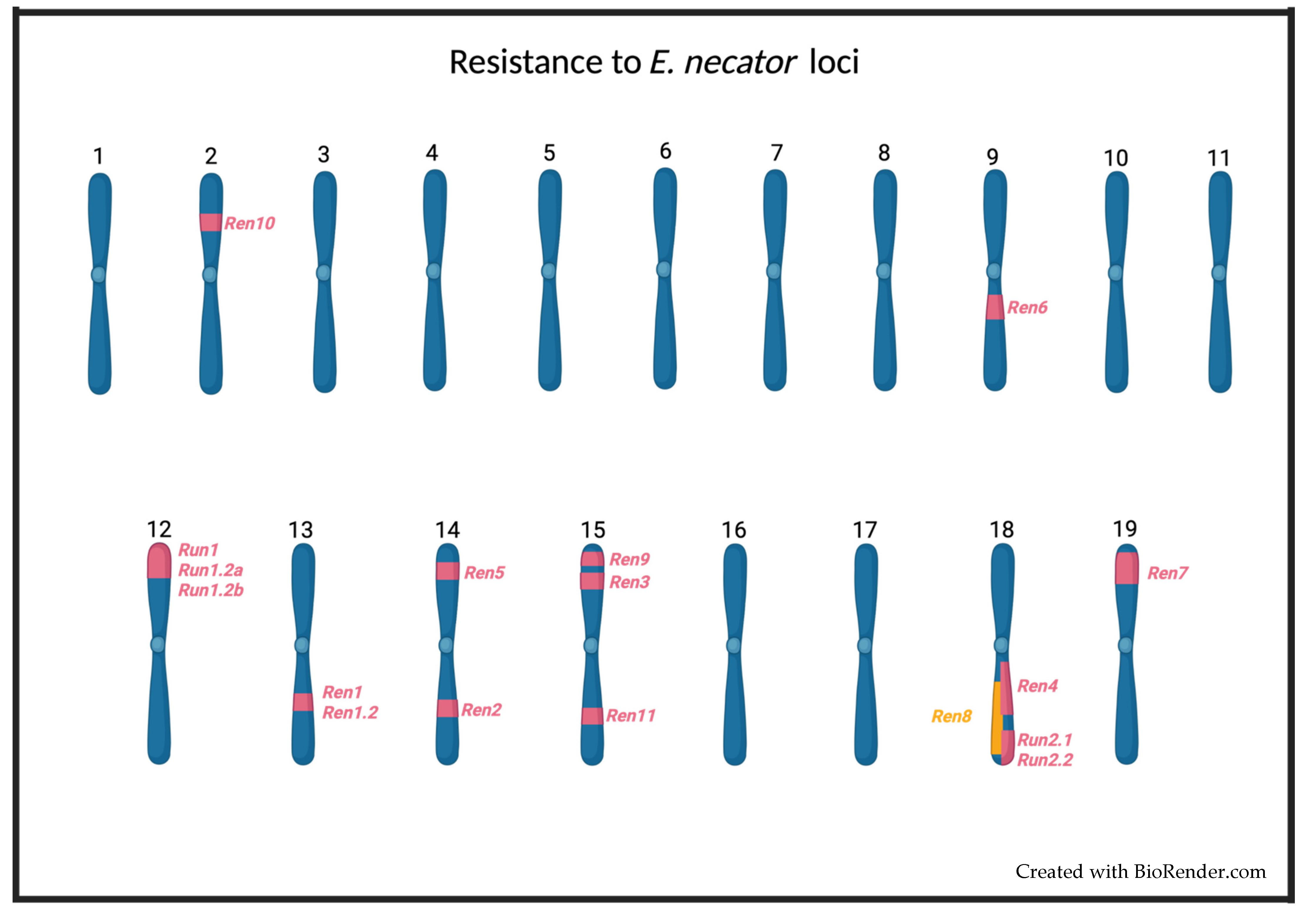 Pathogens 11 00703 g001