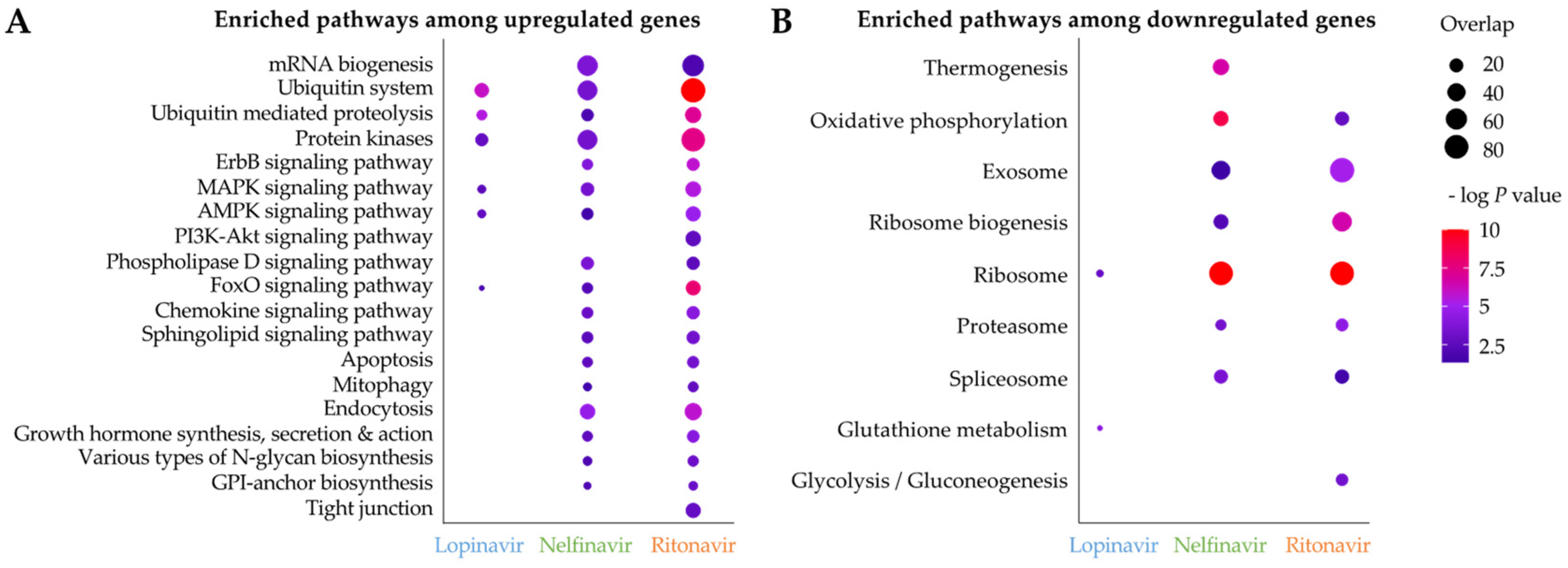 Pathogens 11 00707 g006