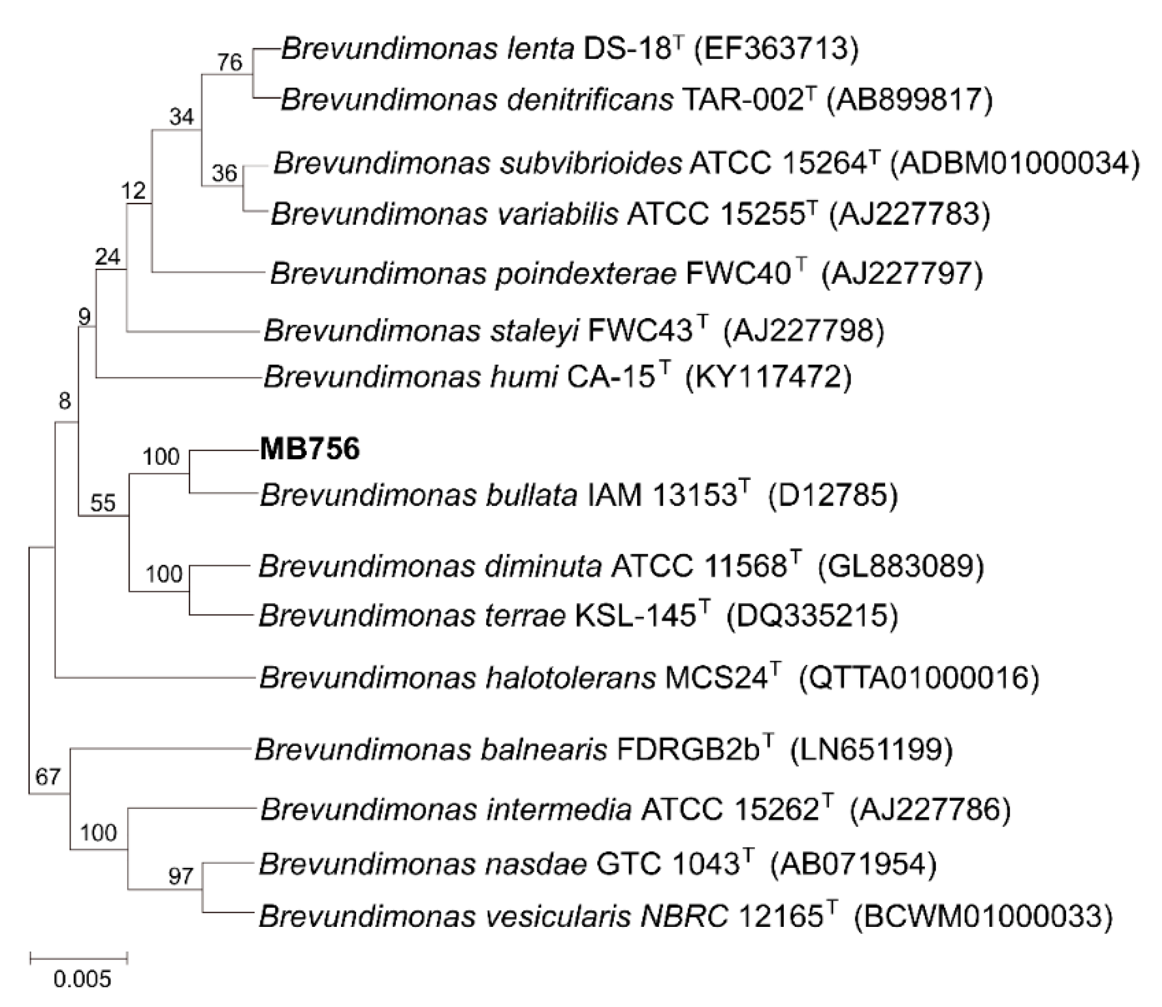 Pathogens 11 00708 g002