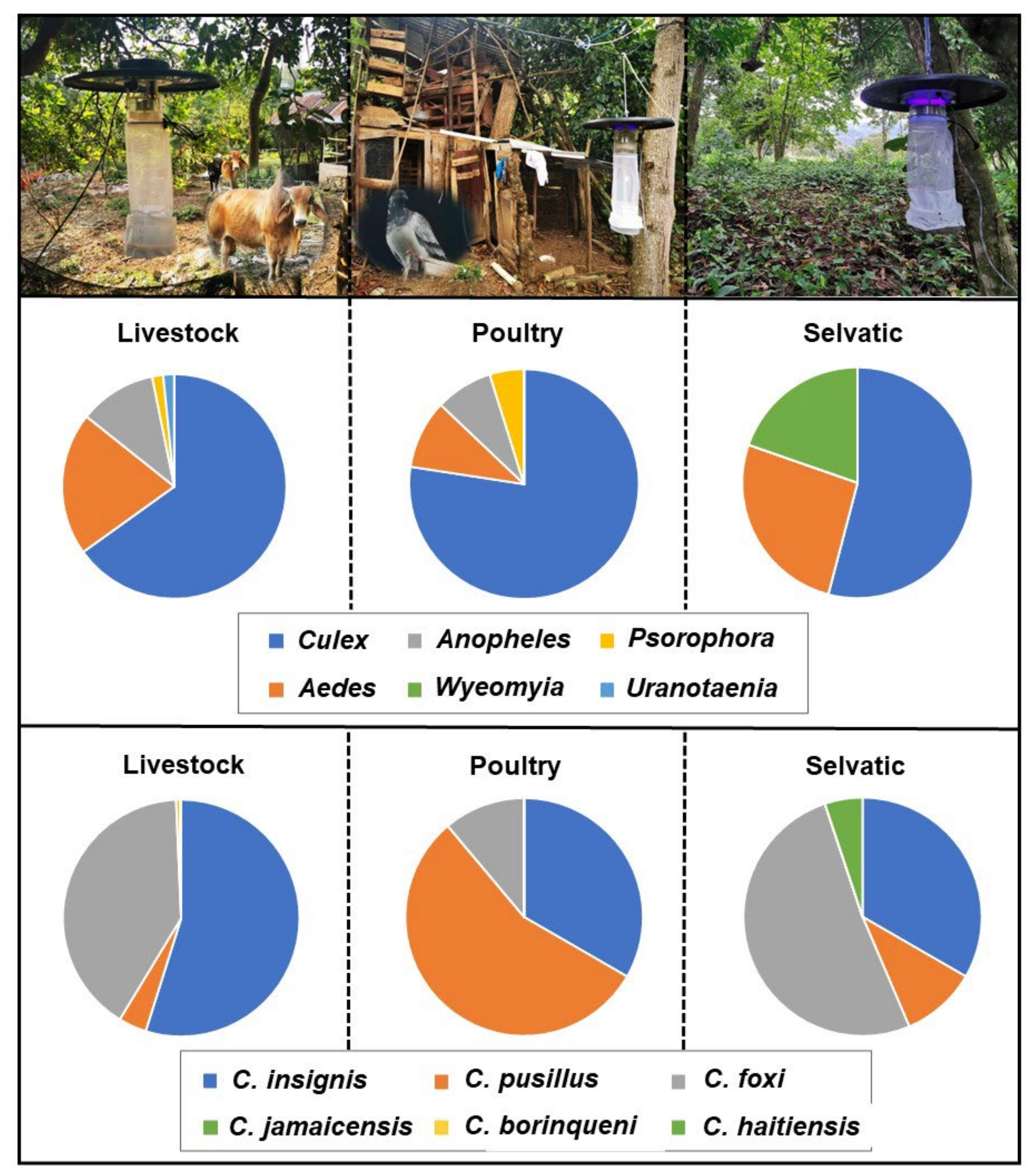 Pathogens 11 00714 g001