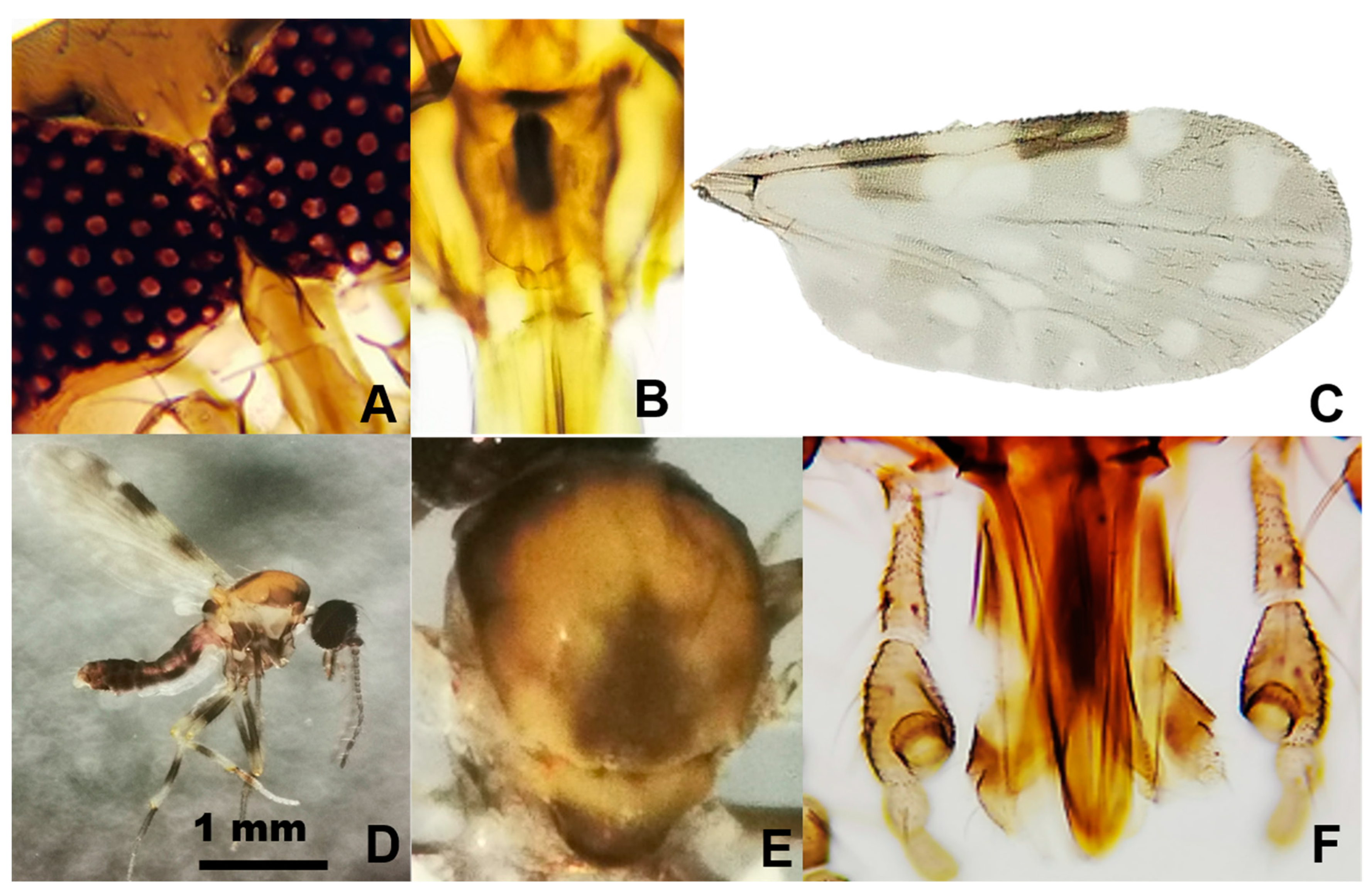 Pathogens 11 00714 g003