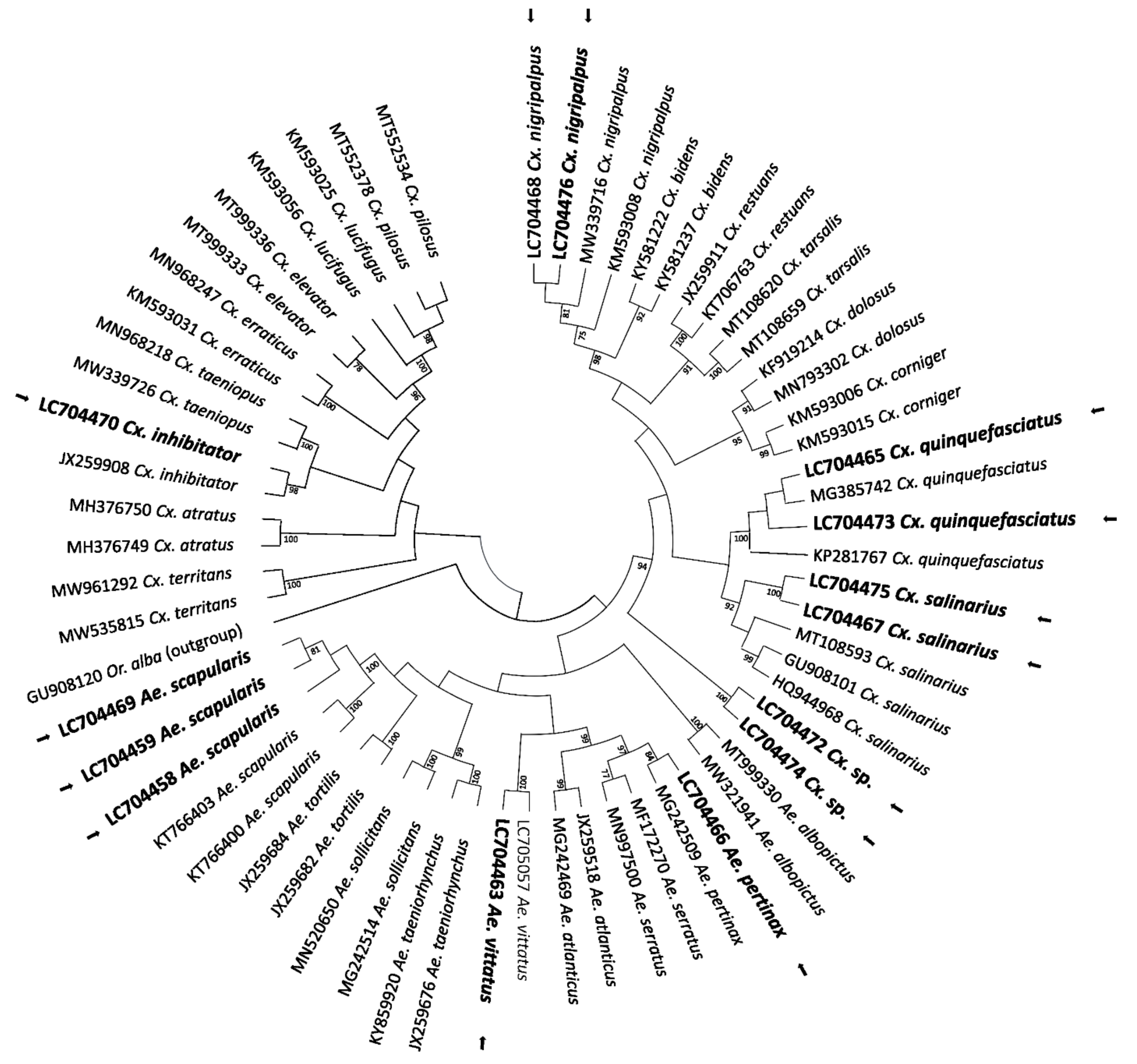 Pathogens 11 00714 g005