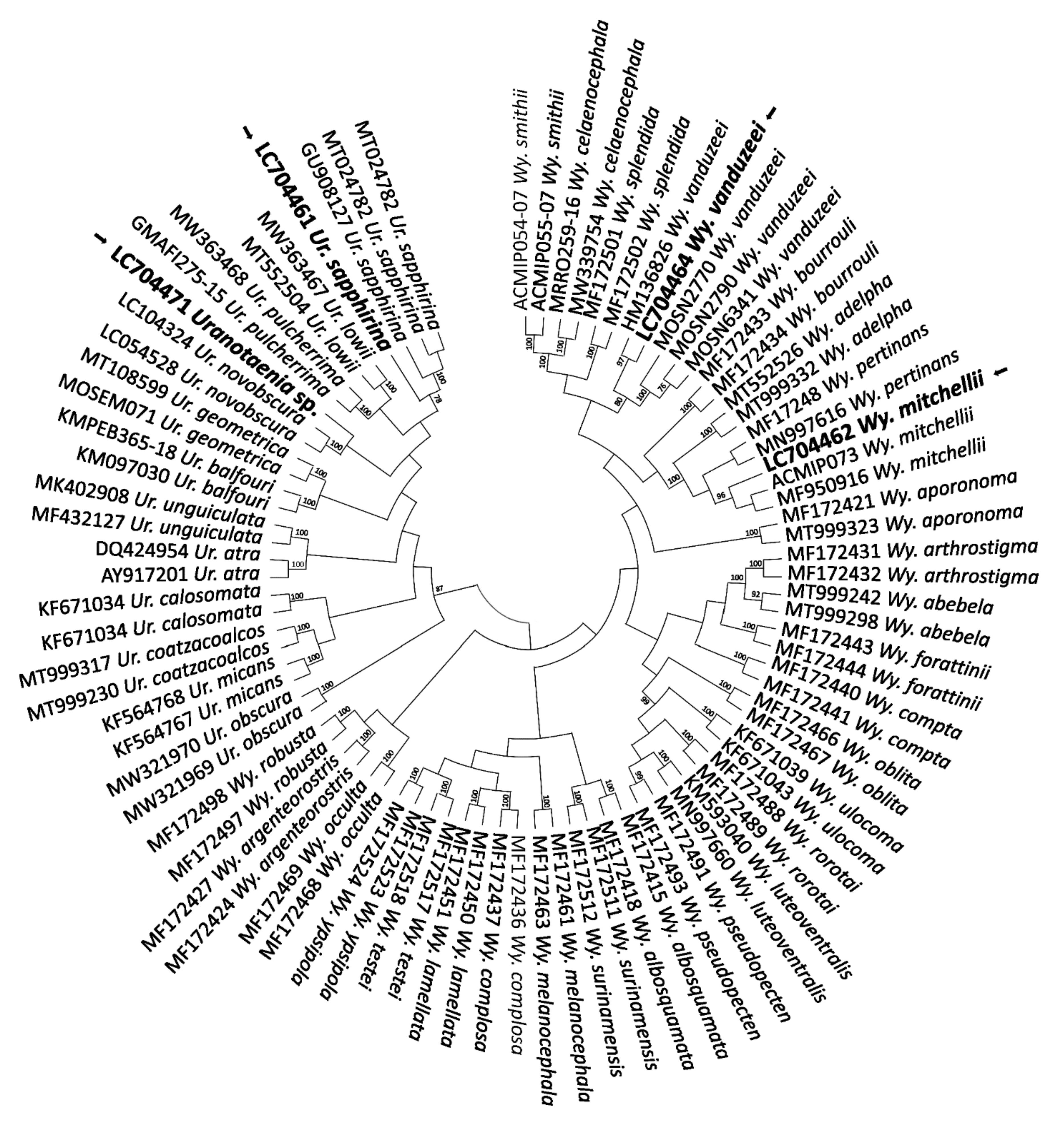 Pathogens 11 00714 g006