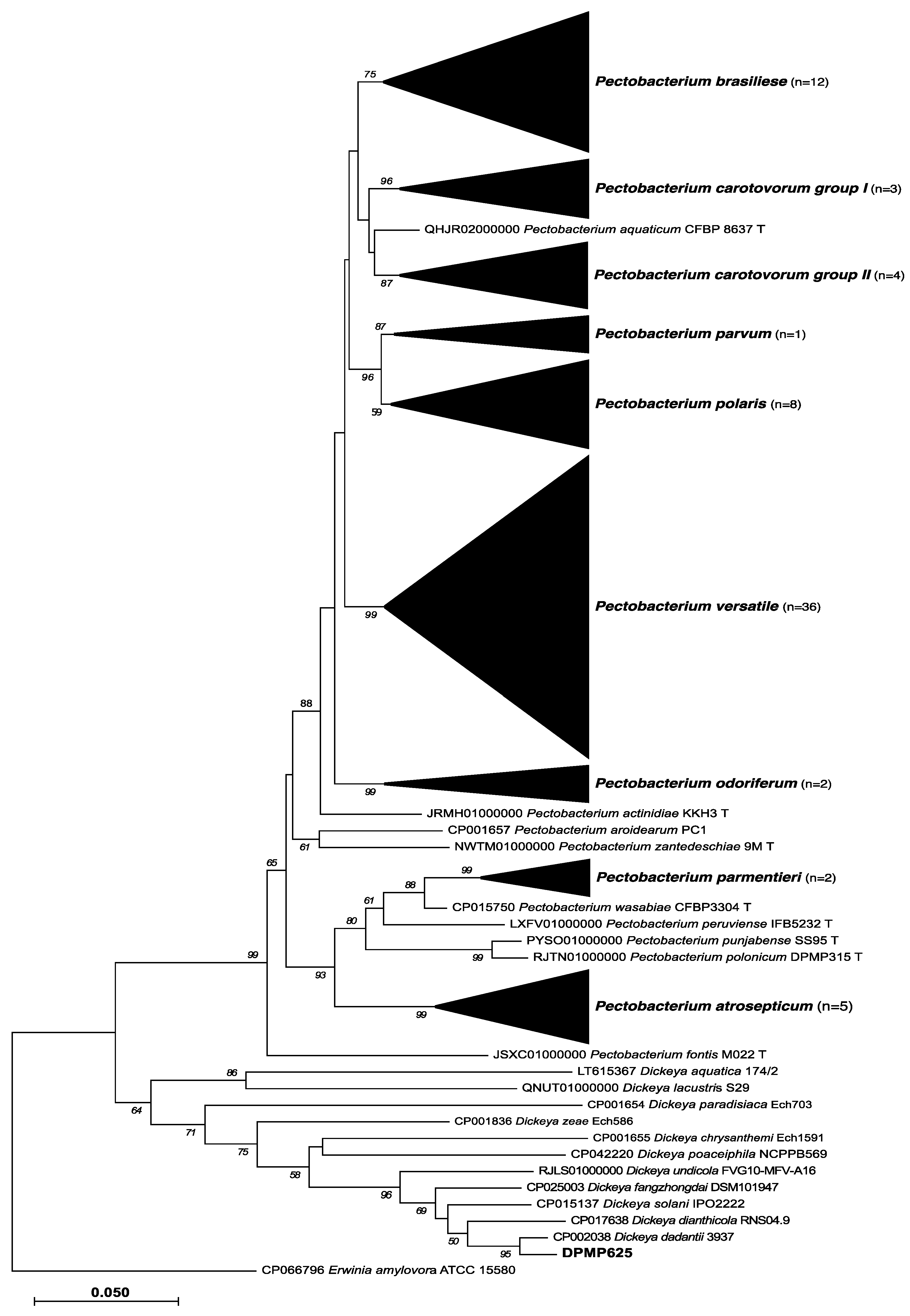 Pathogens 11 00728 g001 Pathogens 11 00728 g001
