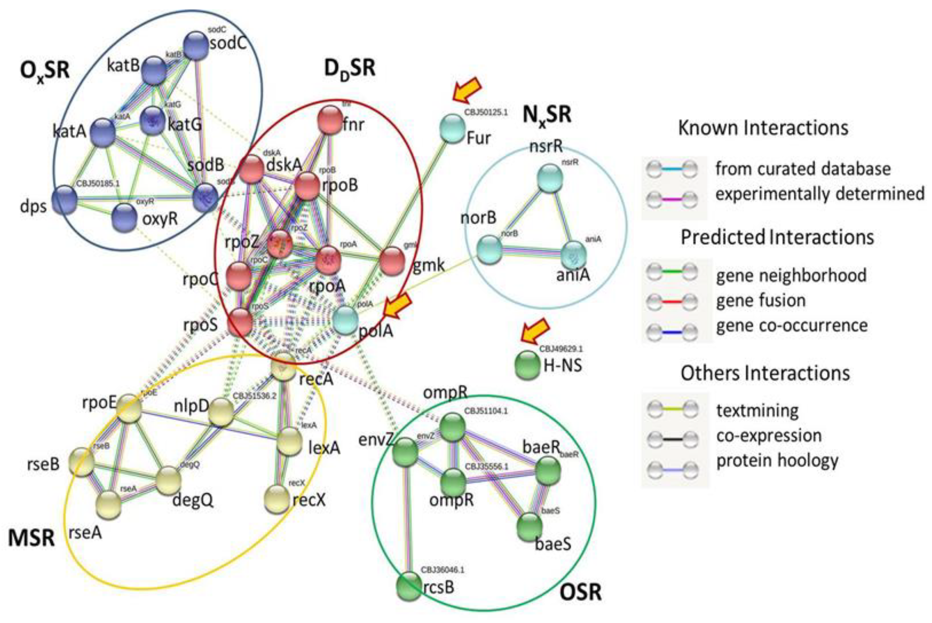 Pathogens 11 00730 g001 Pathogens 11 00730 g001